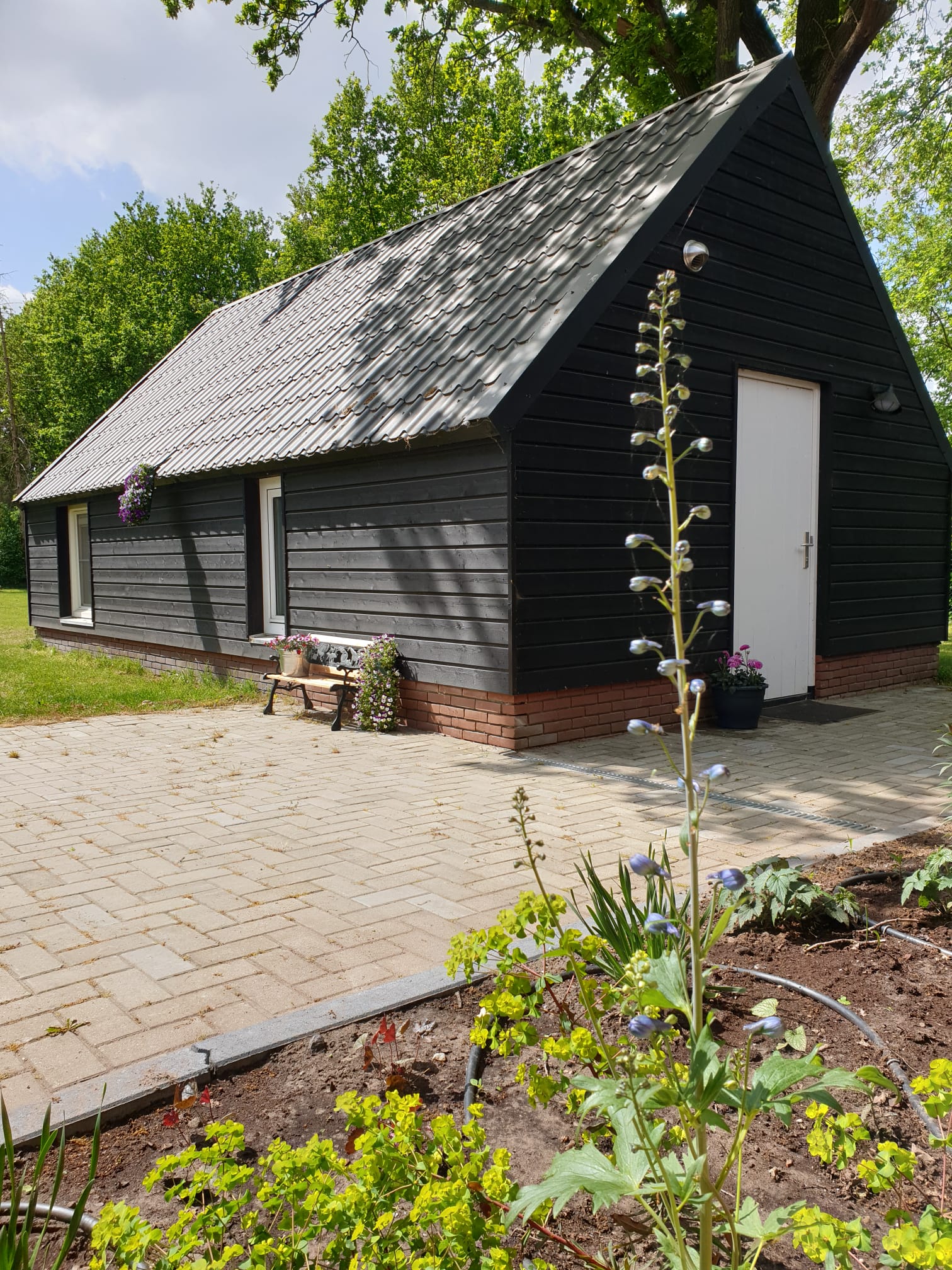 Naturhäuschen in Westerhaar-Vriezenveensewijk