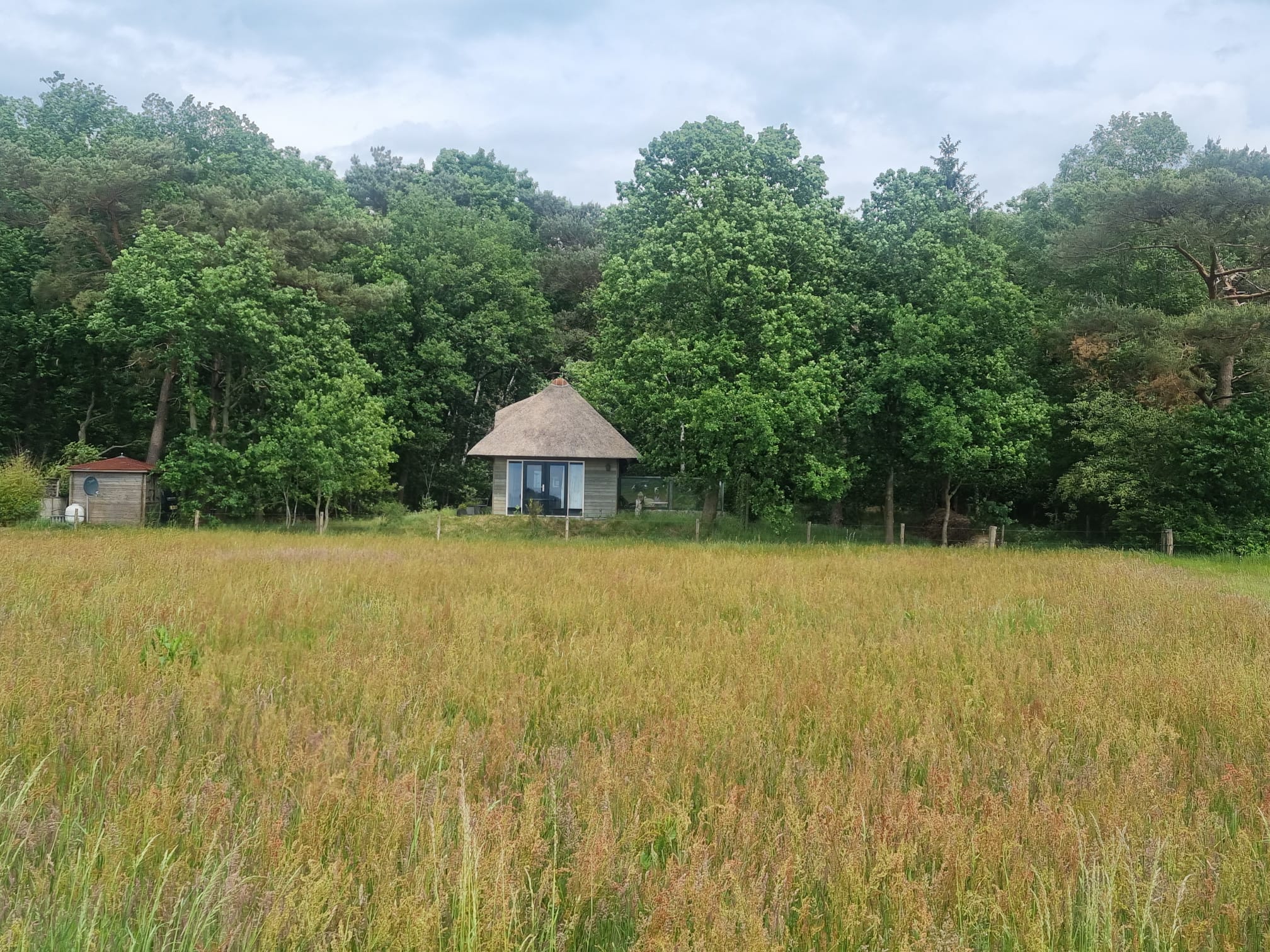 Natuurhuisje in Diffelen (Hardenberg)