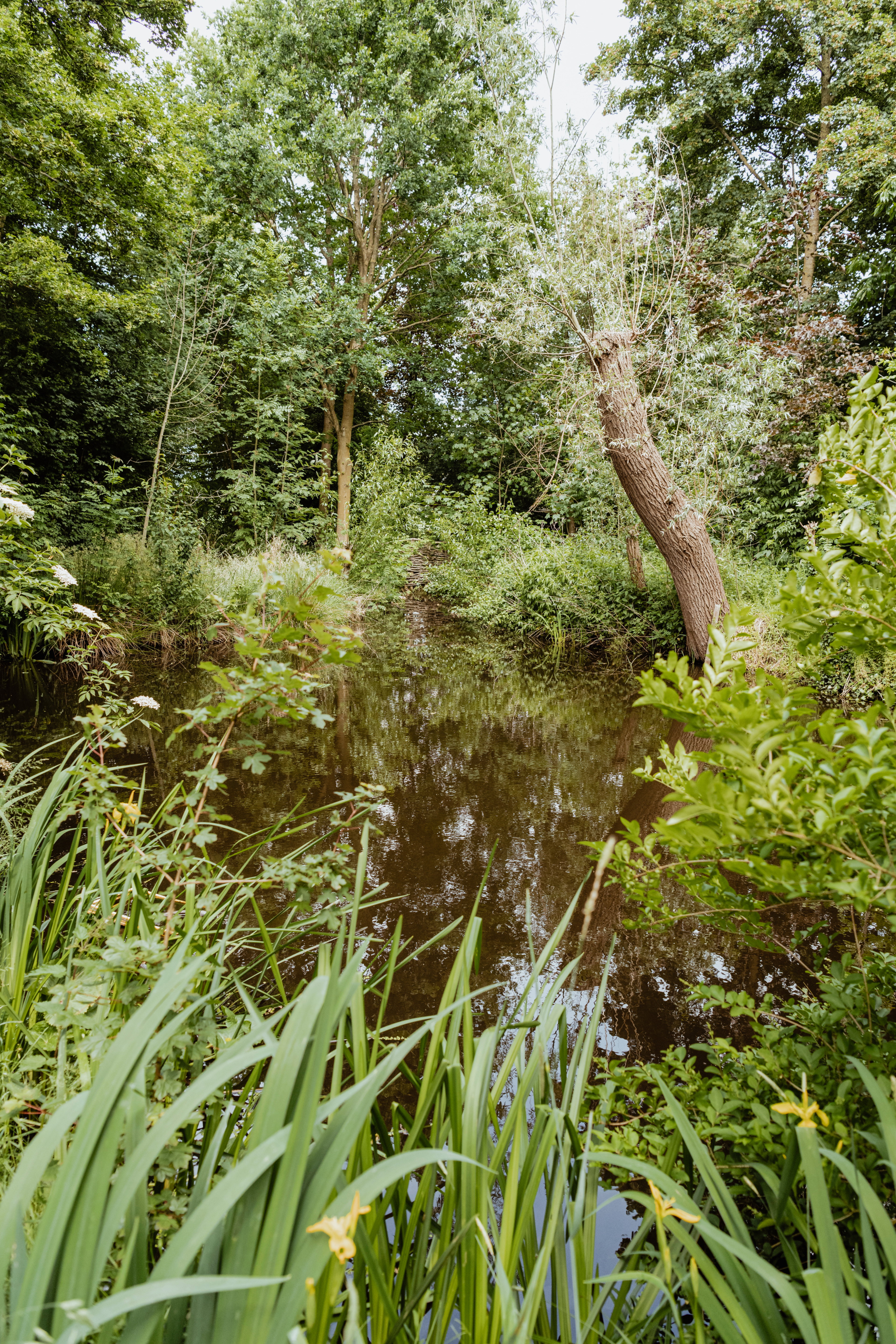 Casa nella natura a Leerdam