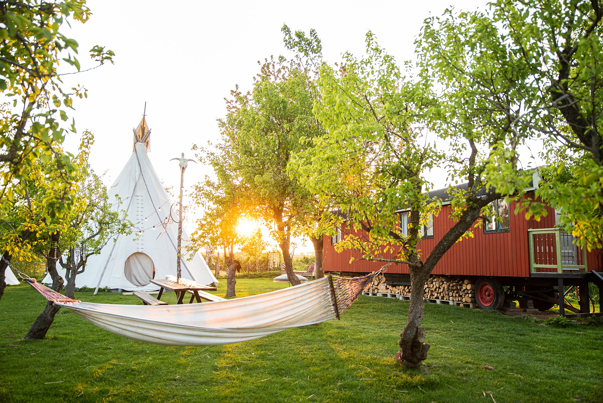 Casa nella natura a Zennewijnen