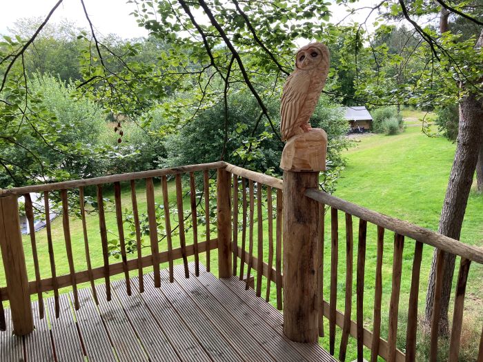 Maison nature à Westerbork
