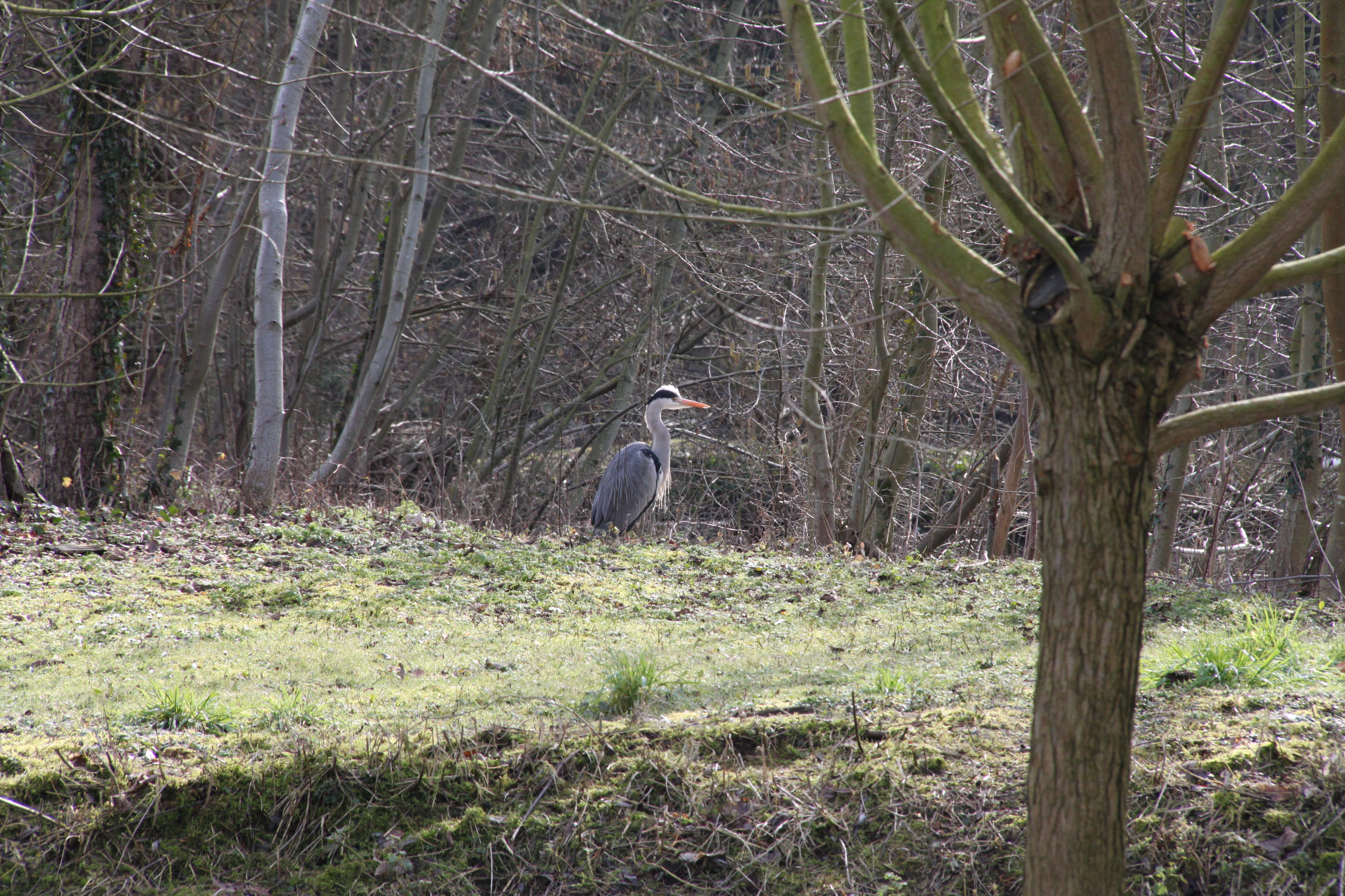 Naturhäuschen in Grimbergen