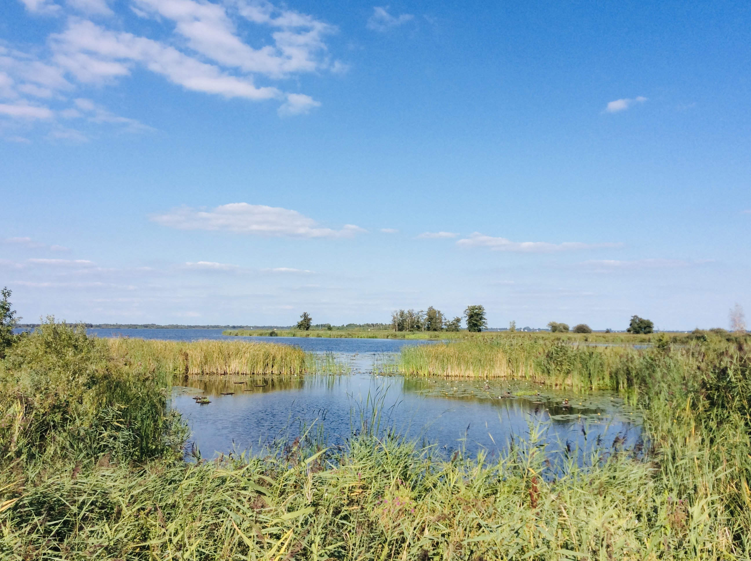 Natuurhuisje in Sint Jansklooster