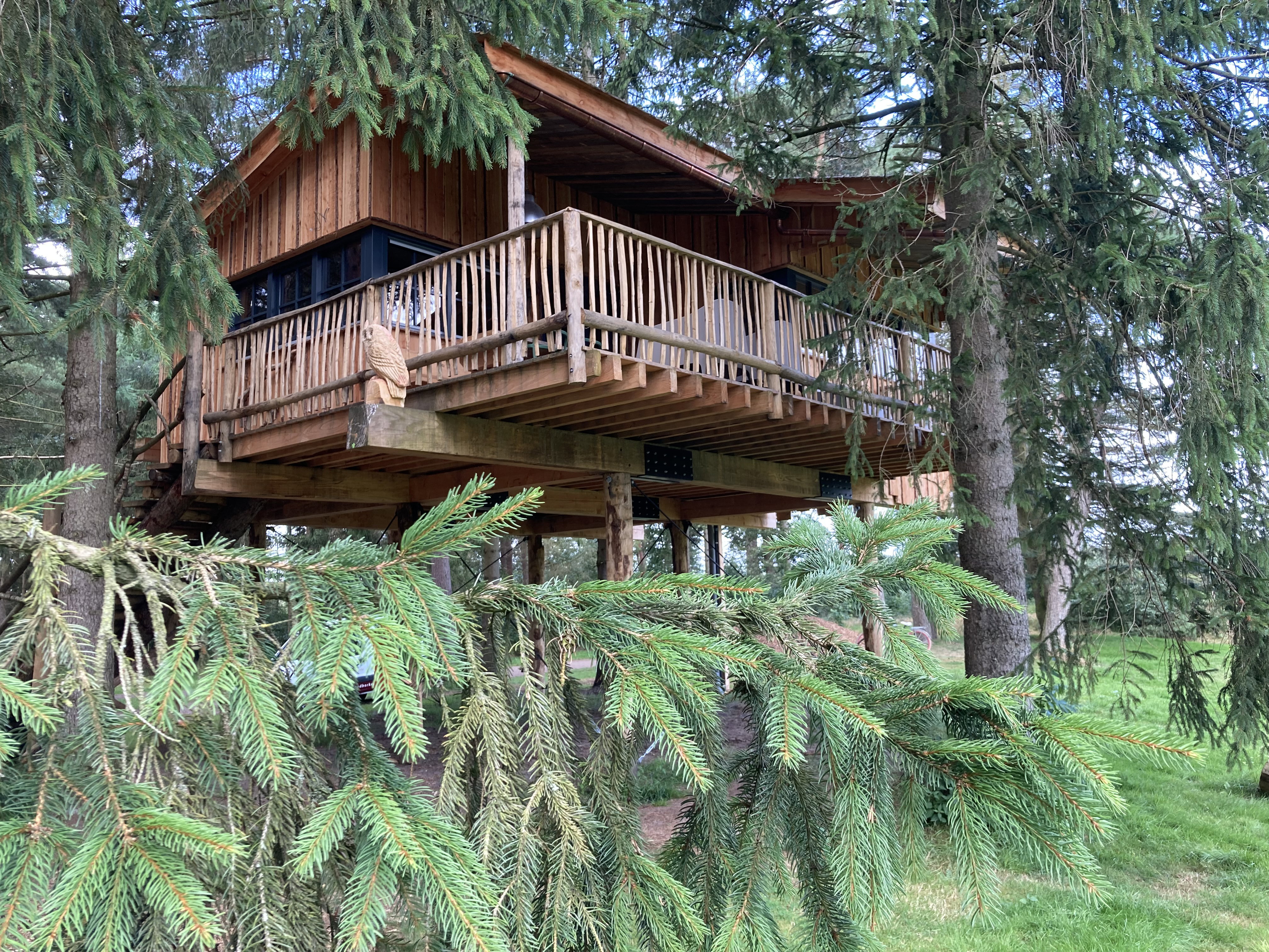 Maison nature à Westerbork