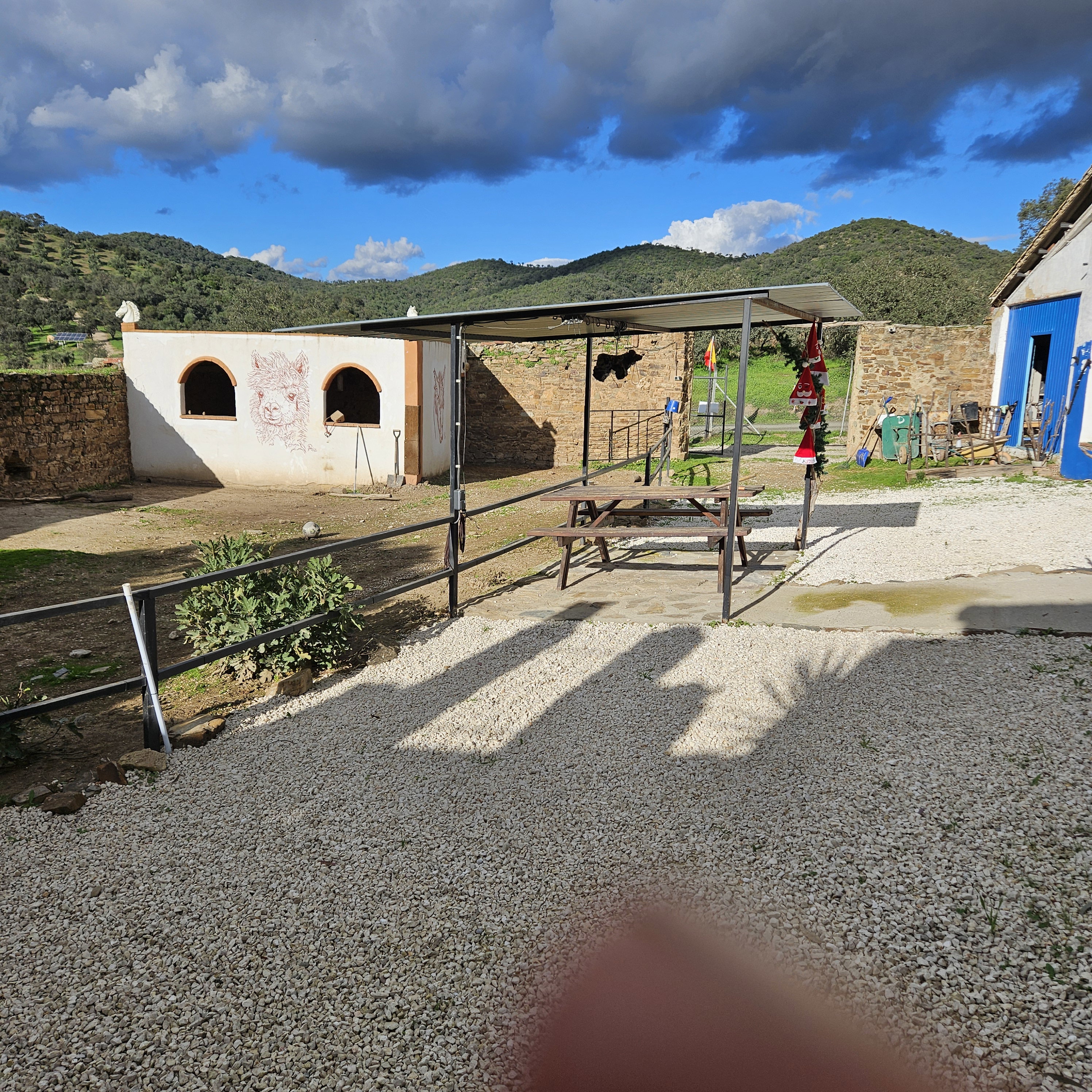 - image: 16