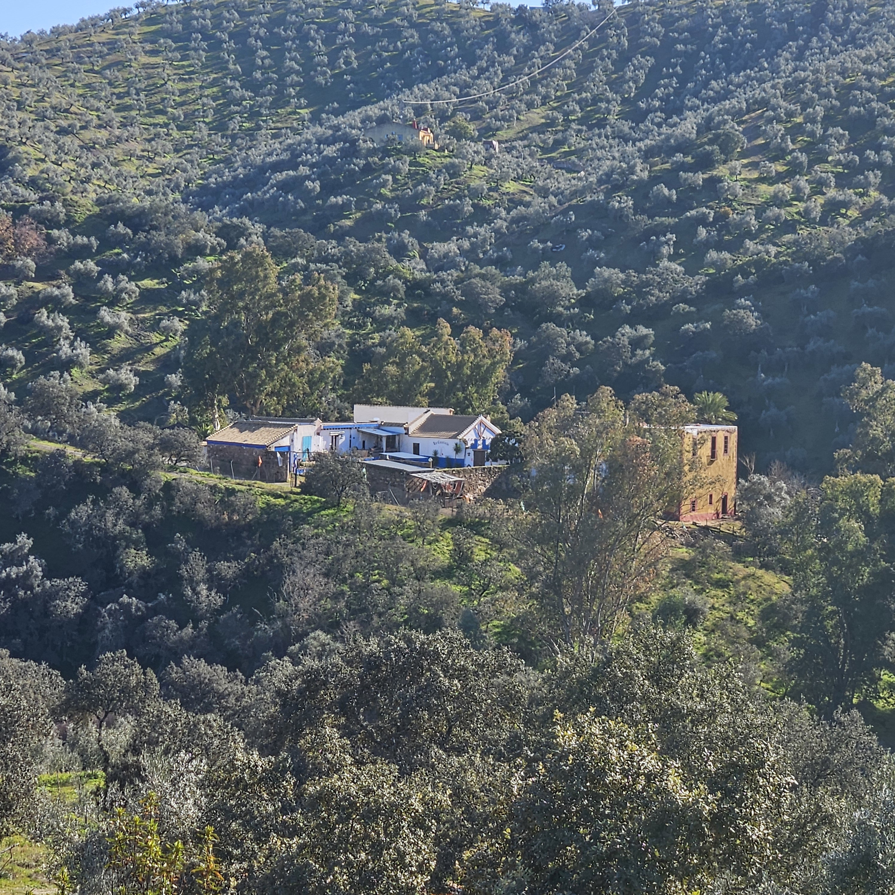 Natuurhuisje in Montoro