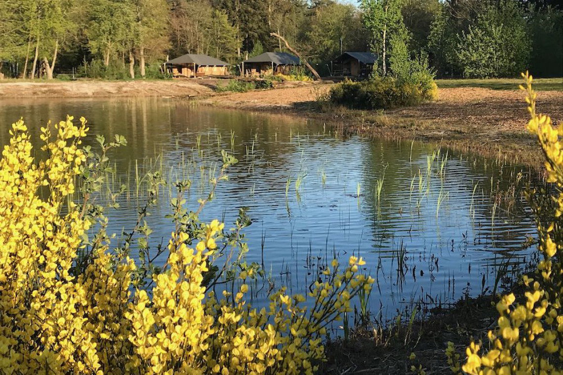 Maison nature à Westerbork