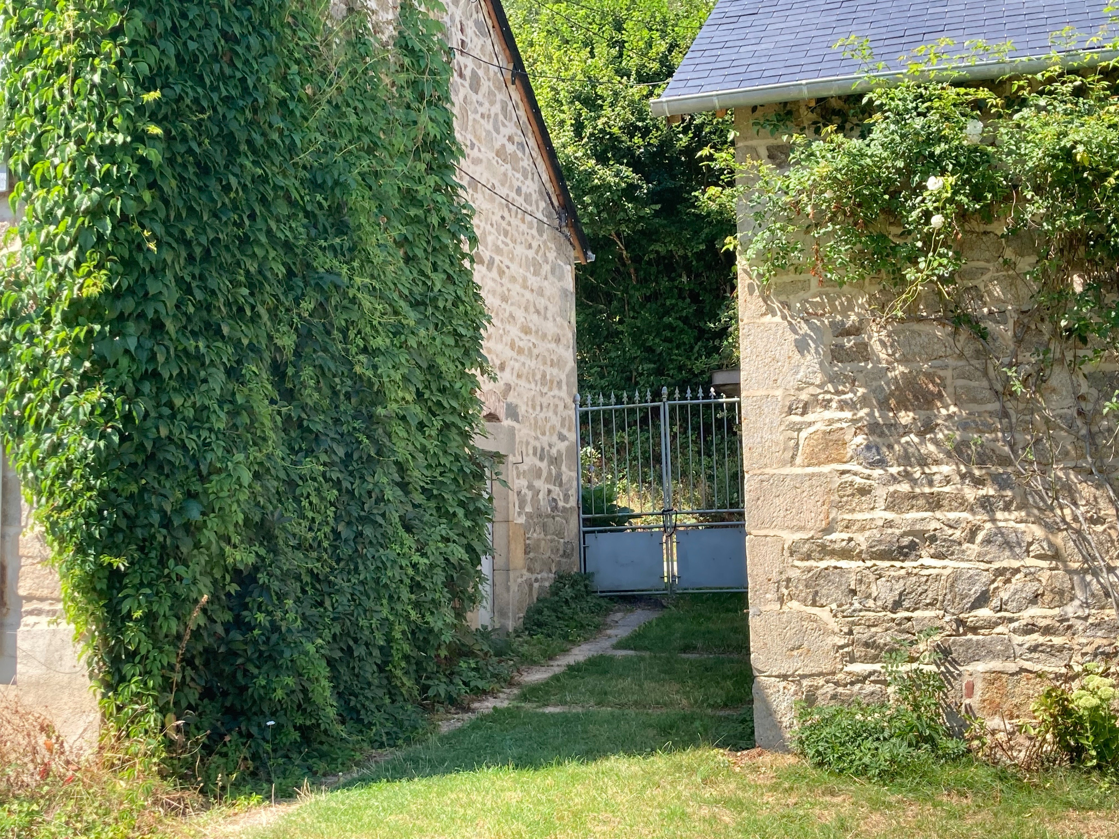 - image: 68