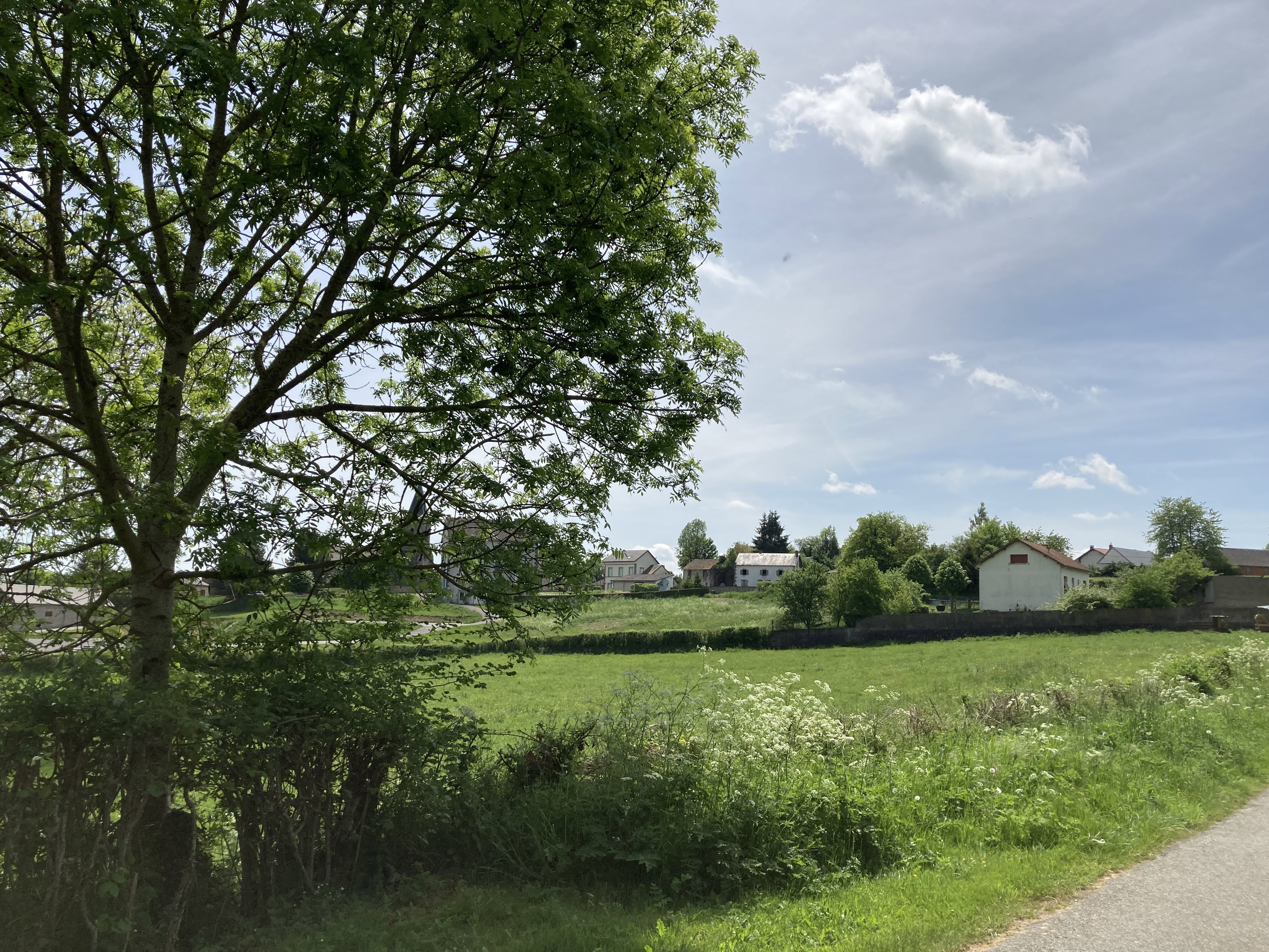 - image: 7