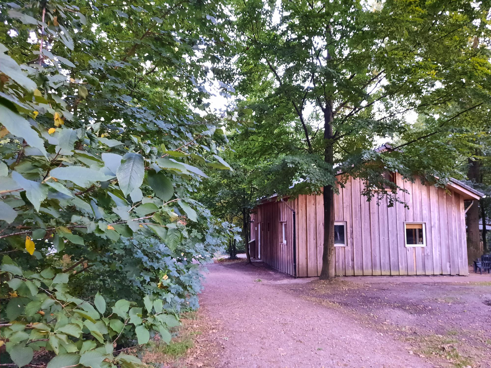 - image: 23