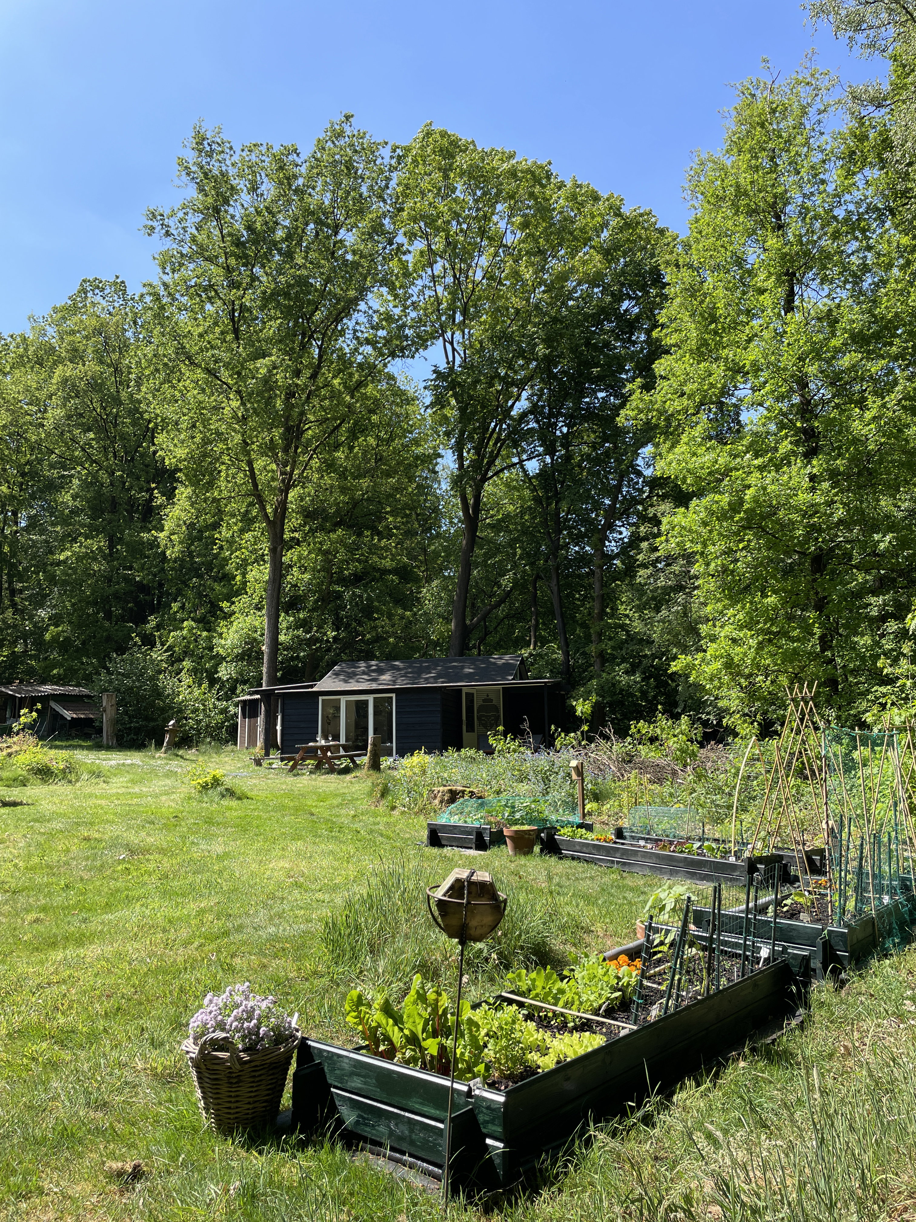 Natuurhuisje in Beekbergen