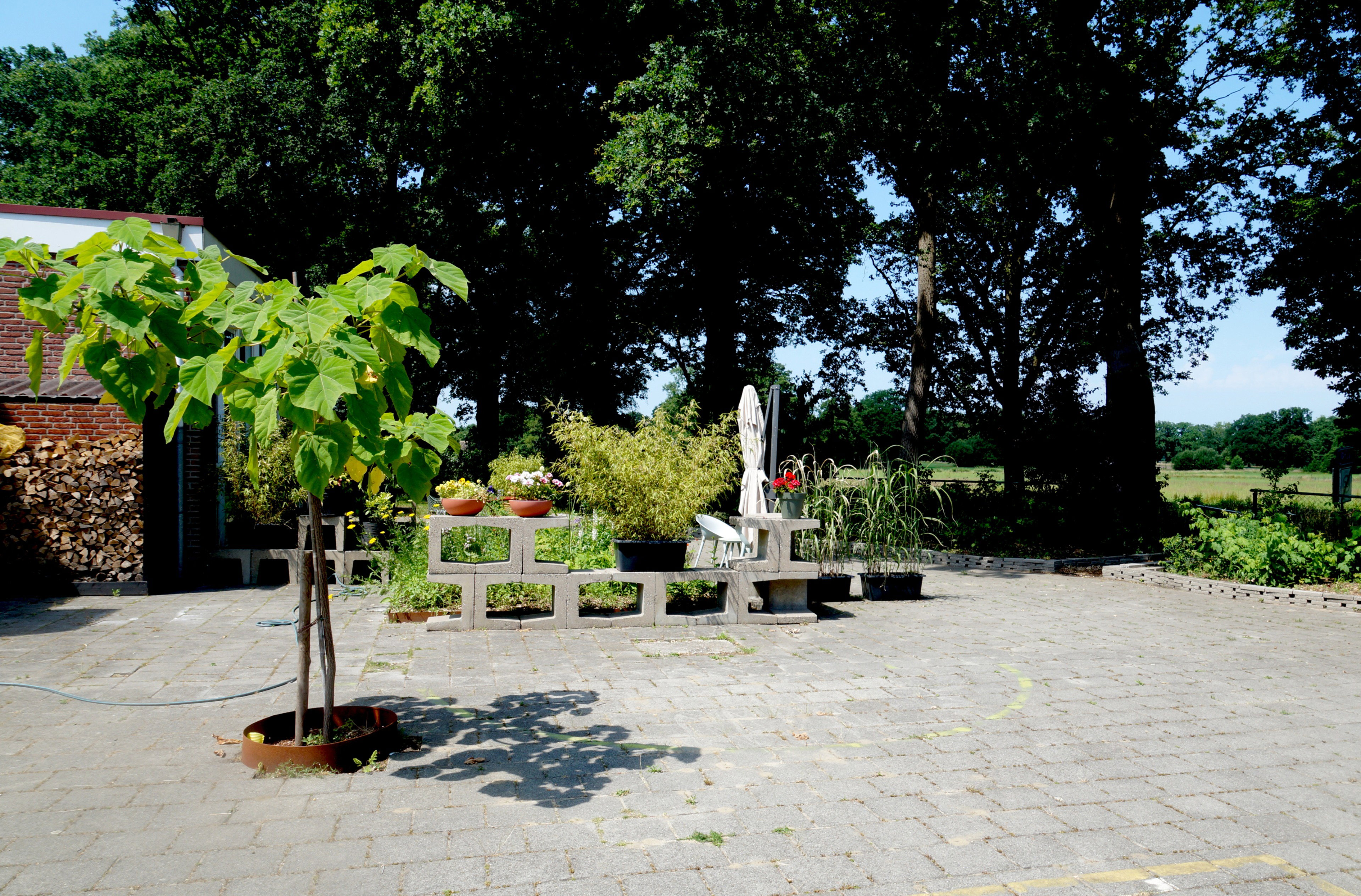- image: 24