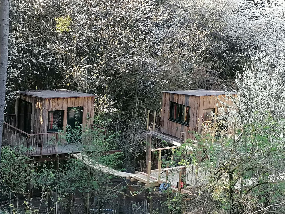 Natuurhuisje in Sassen