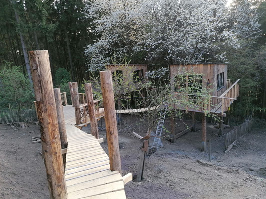 Natuurhuisje in Sassen