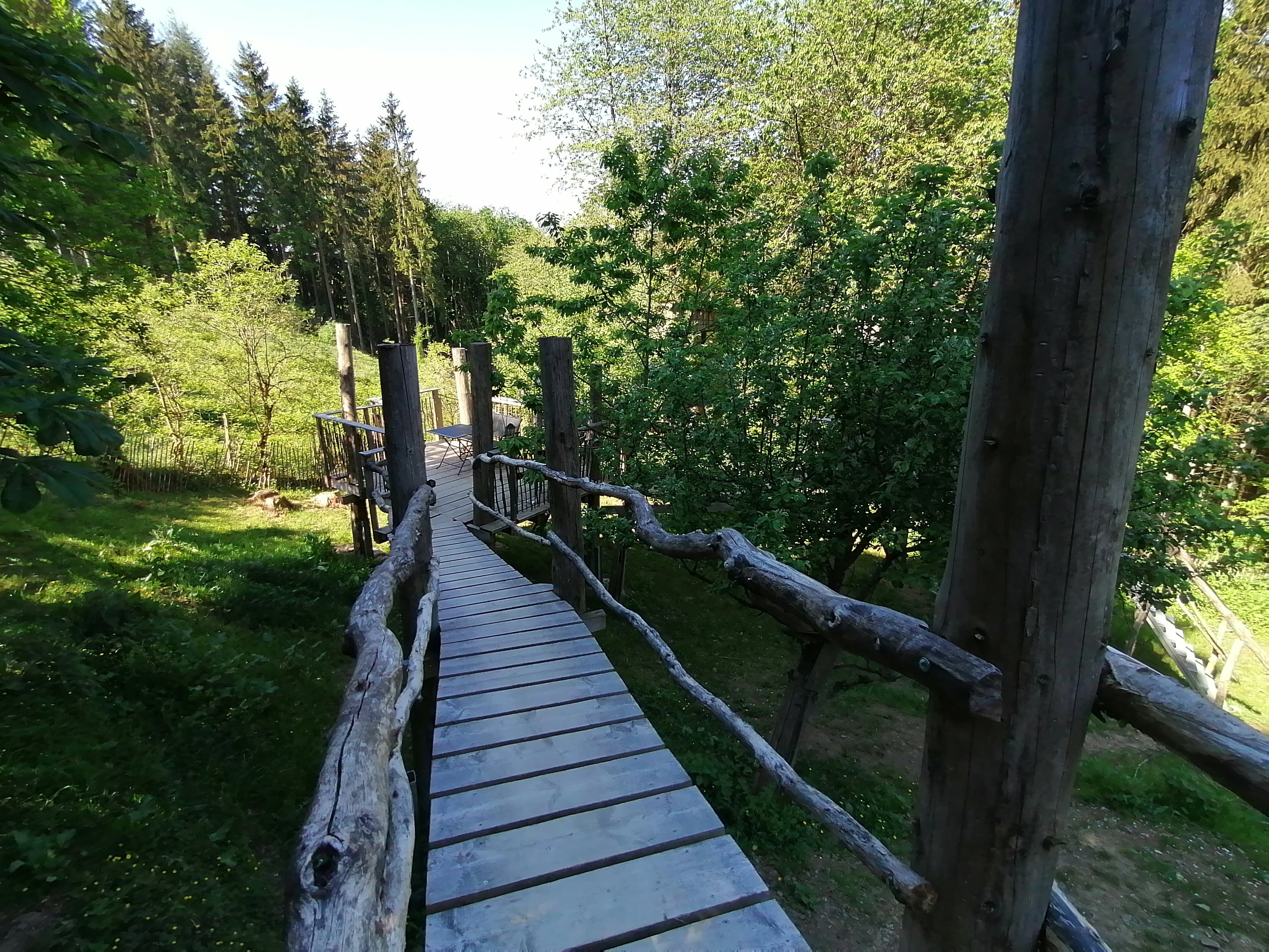 Natuurhuisje in Sassen