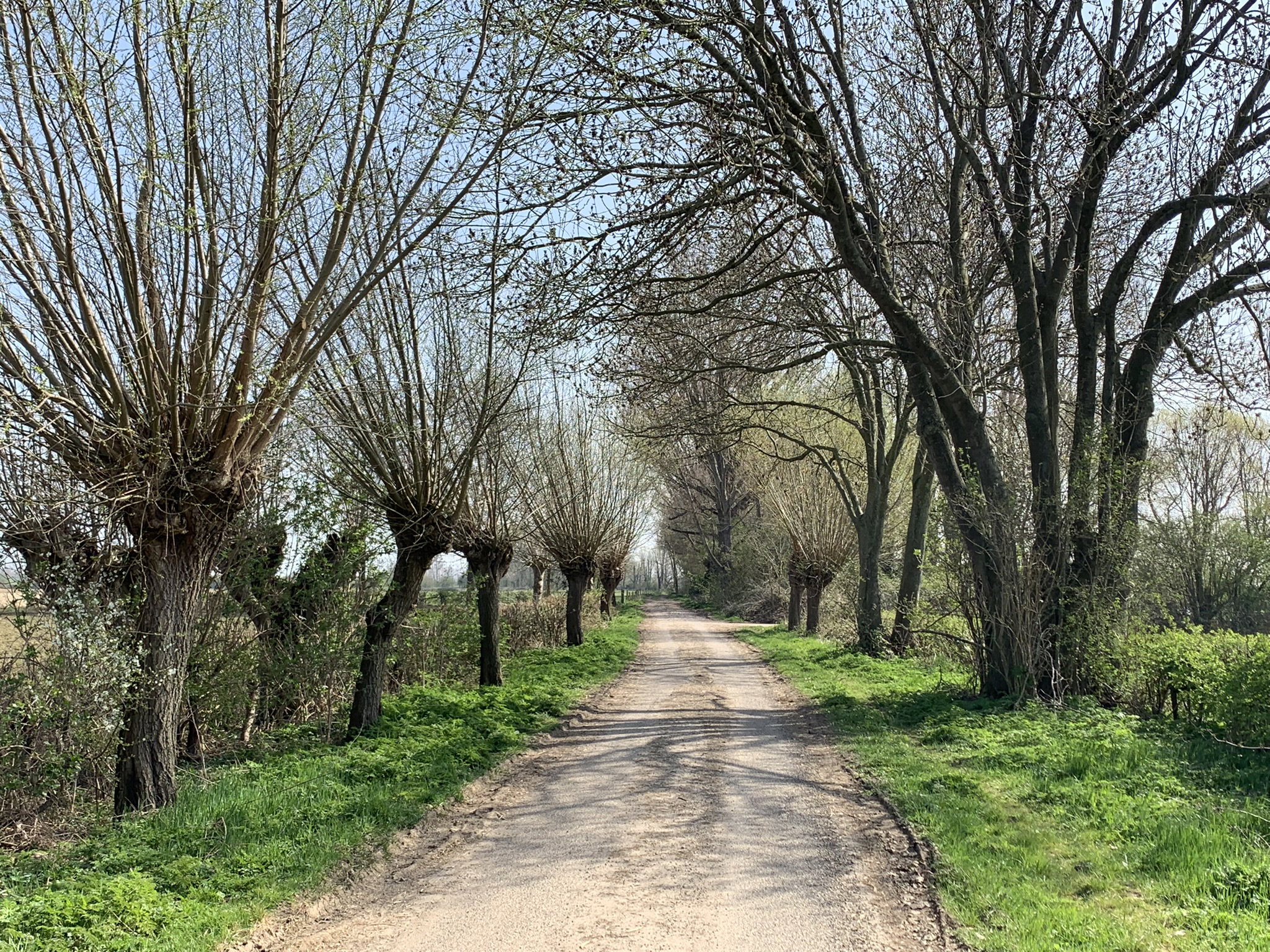 - image: 29