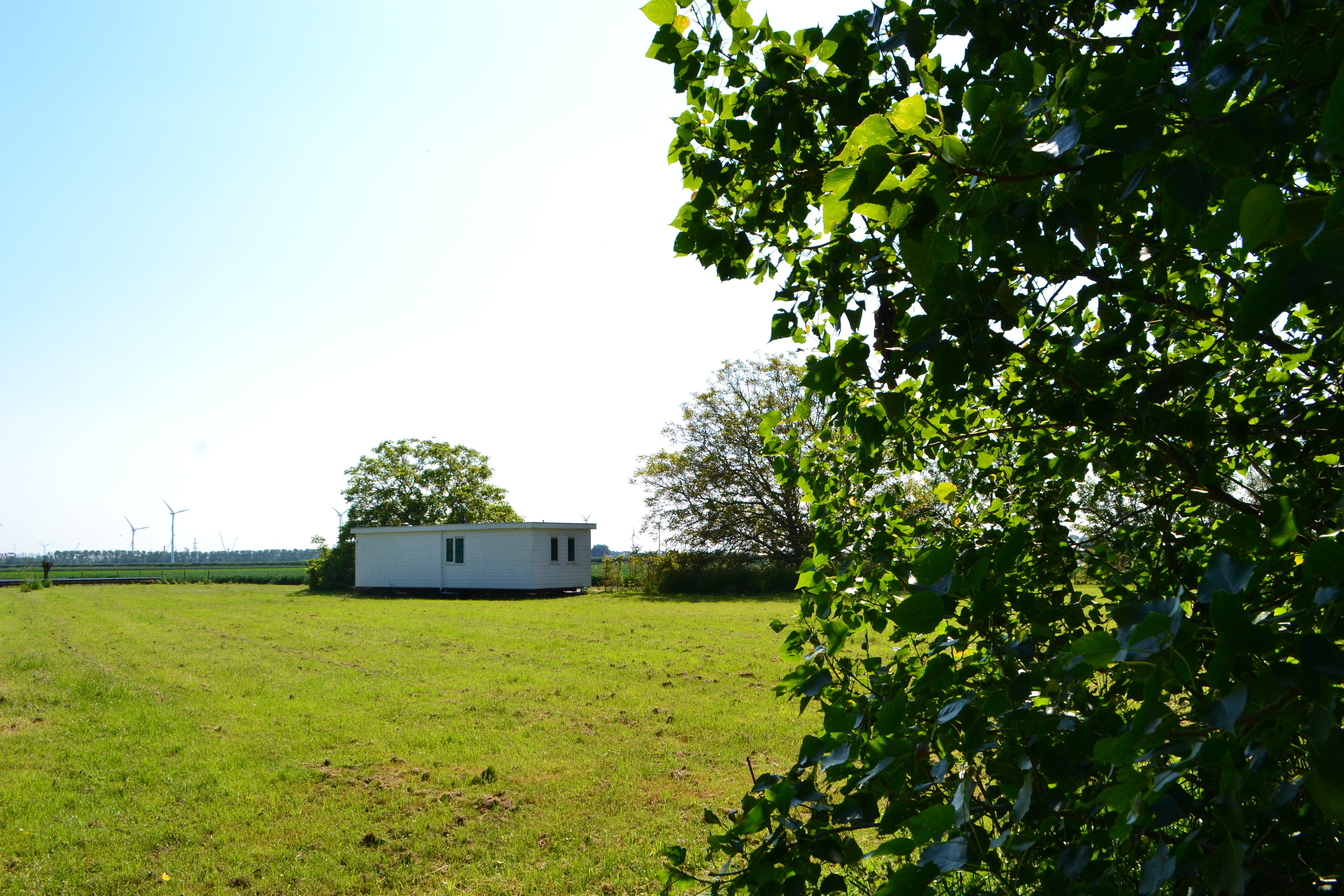 Natuurhuisje in Lewedorp