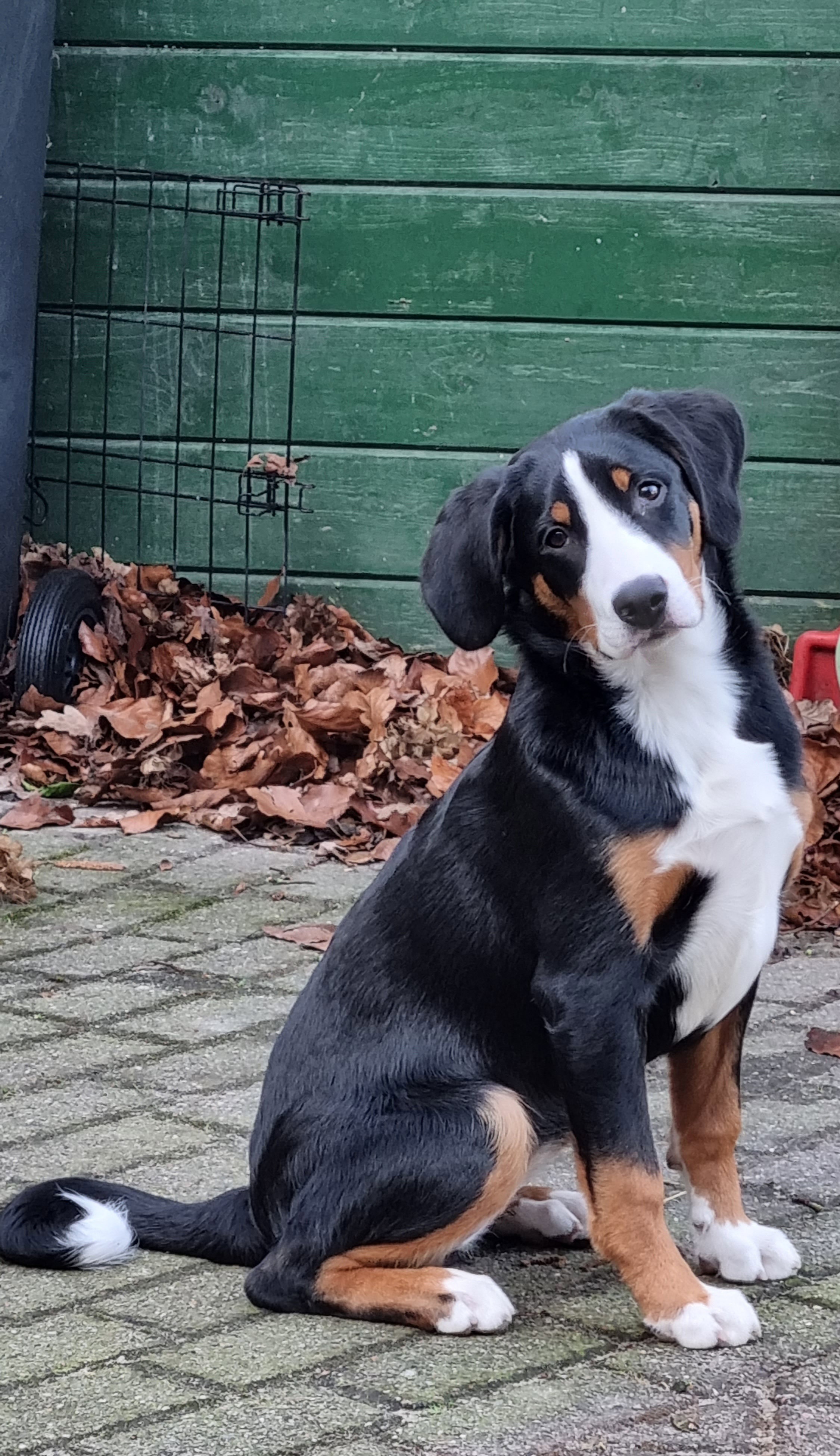 Naturhäuschen in Weesp