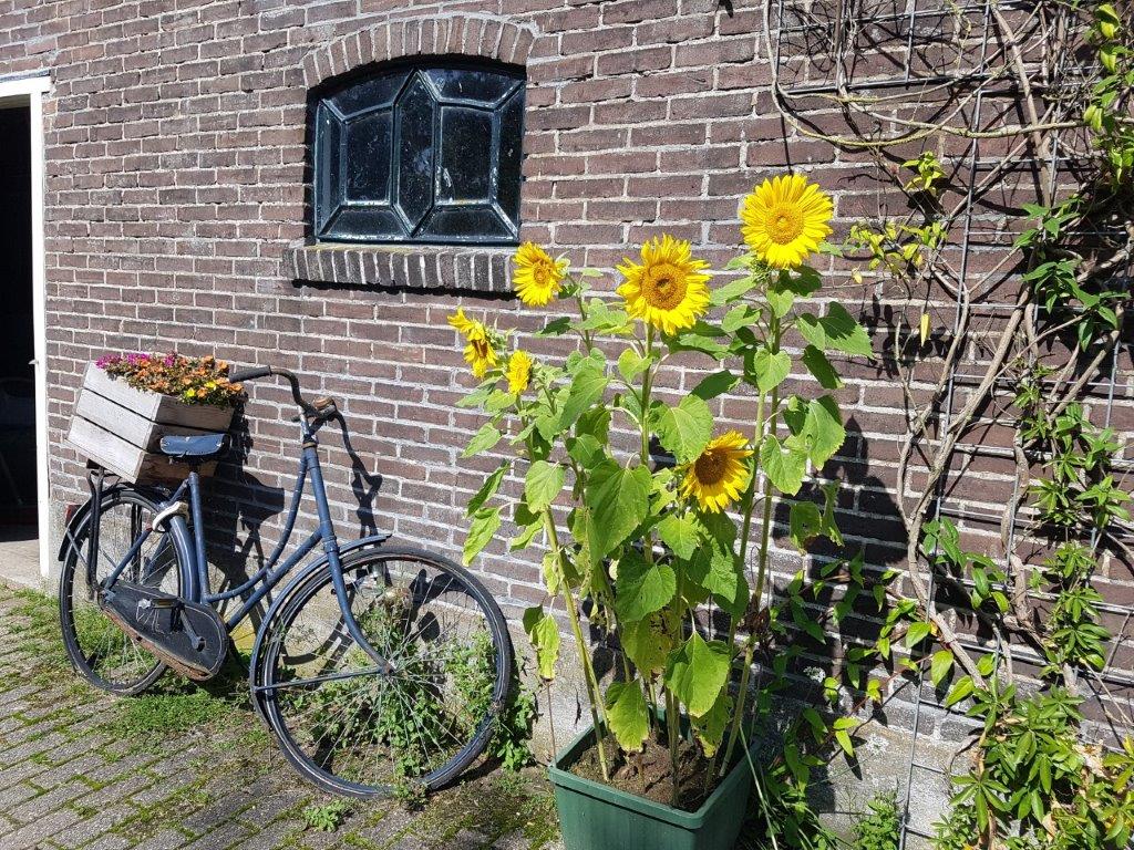 Naturhäuschen in Weesp