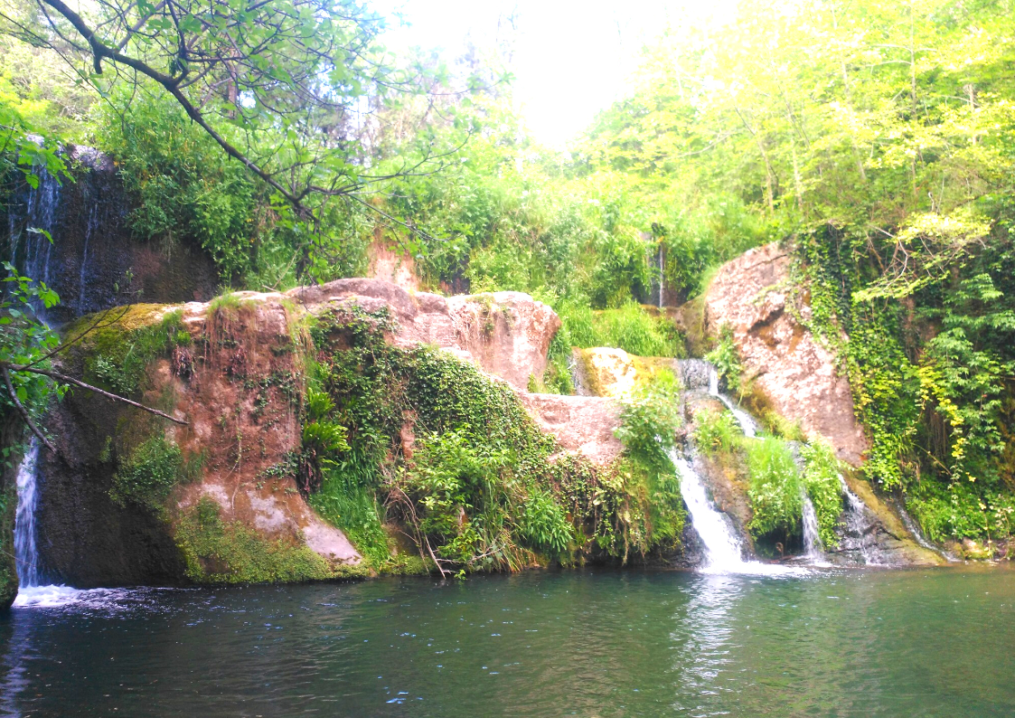 - image: 12