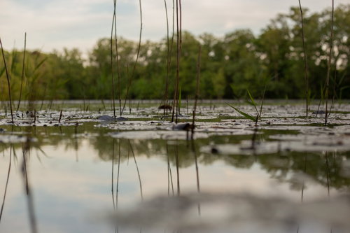 Casa nella natura a Groenlo