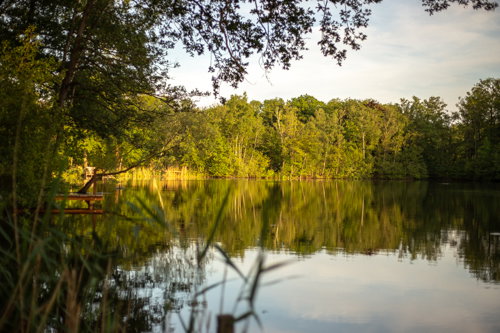 Casa nella natura a Groenlo