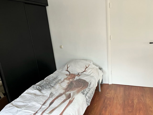 - image: 22