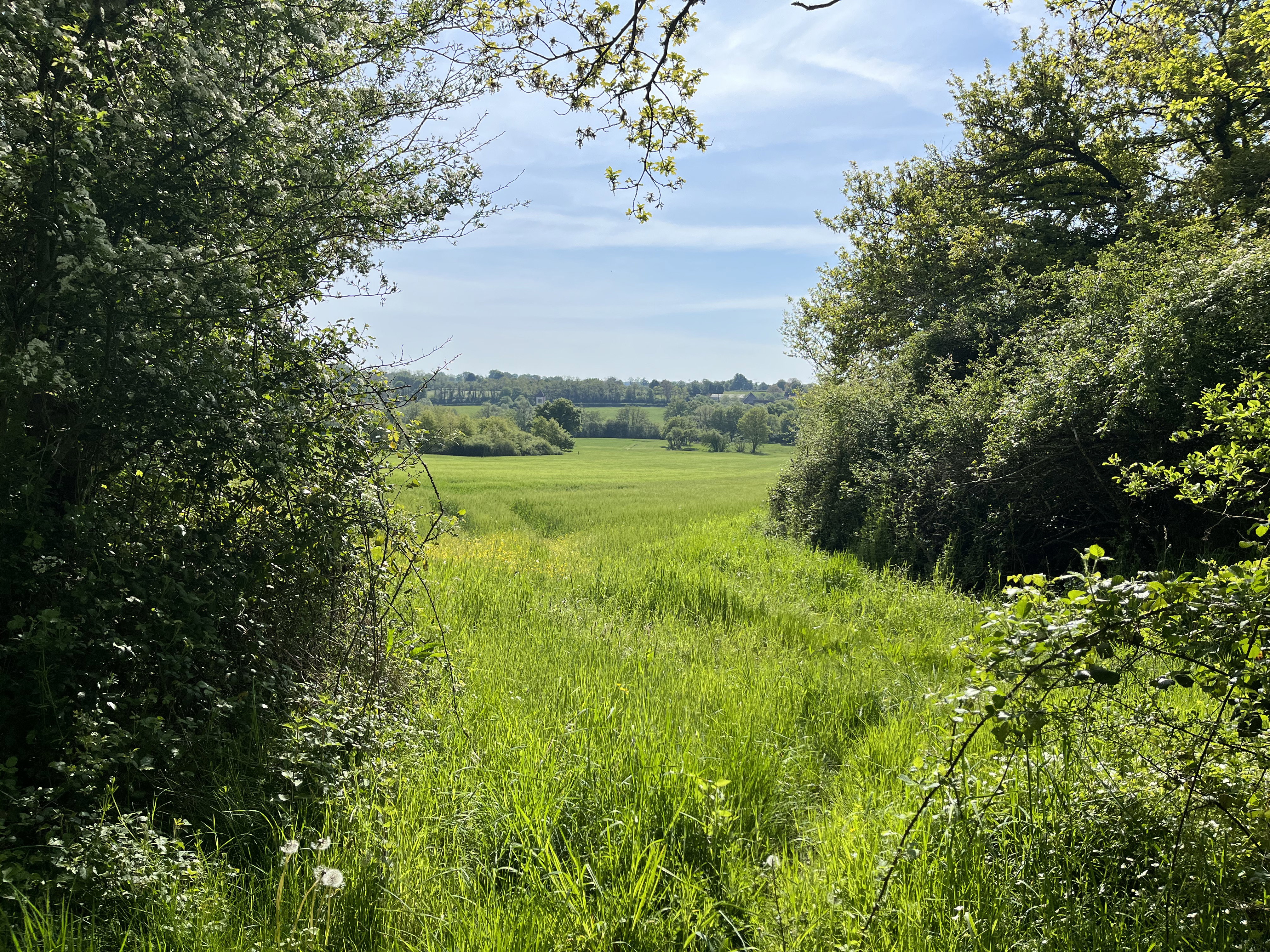Natuurhuisje in agonges
