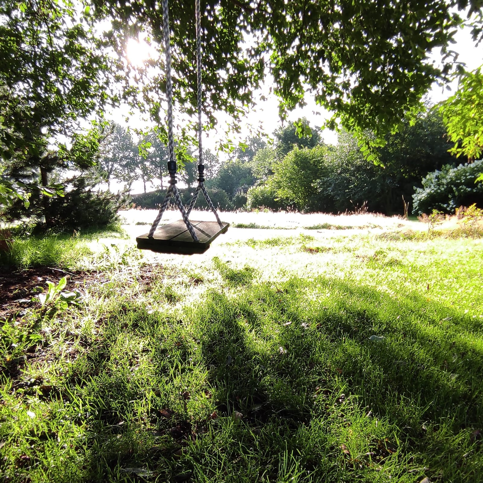 Natuurhuisje in Fochteloo