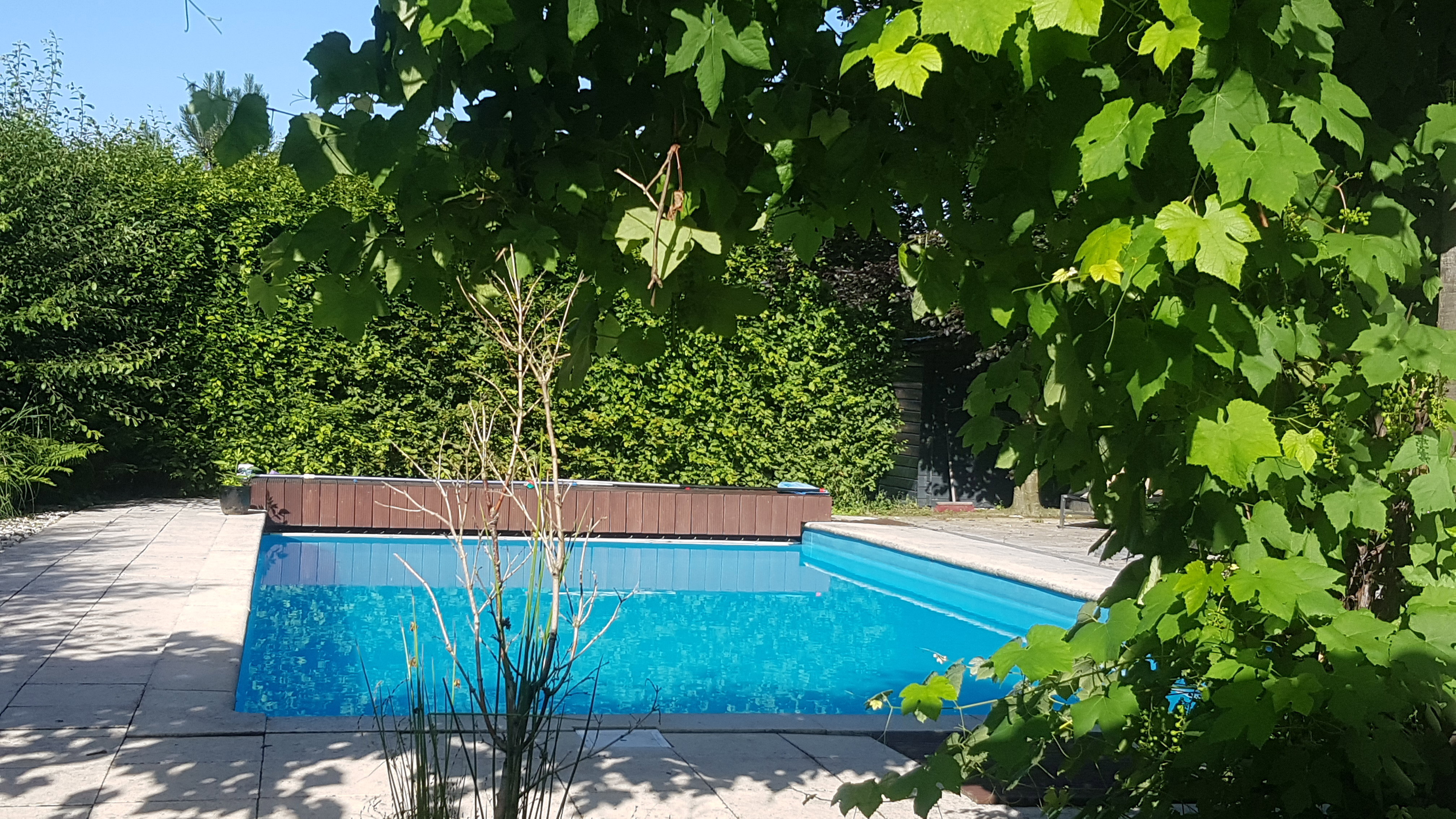Natuurhuisje in Fochteloo