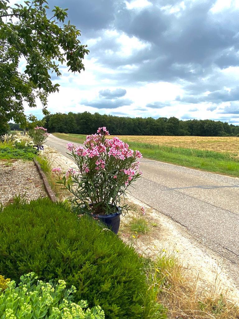 Natuurhuisje in Heijen