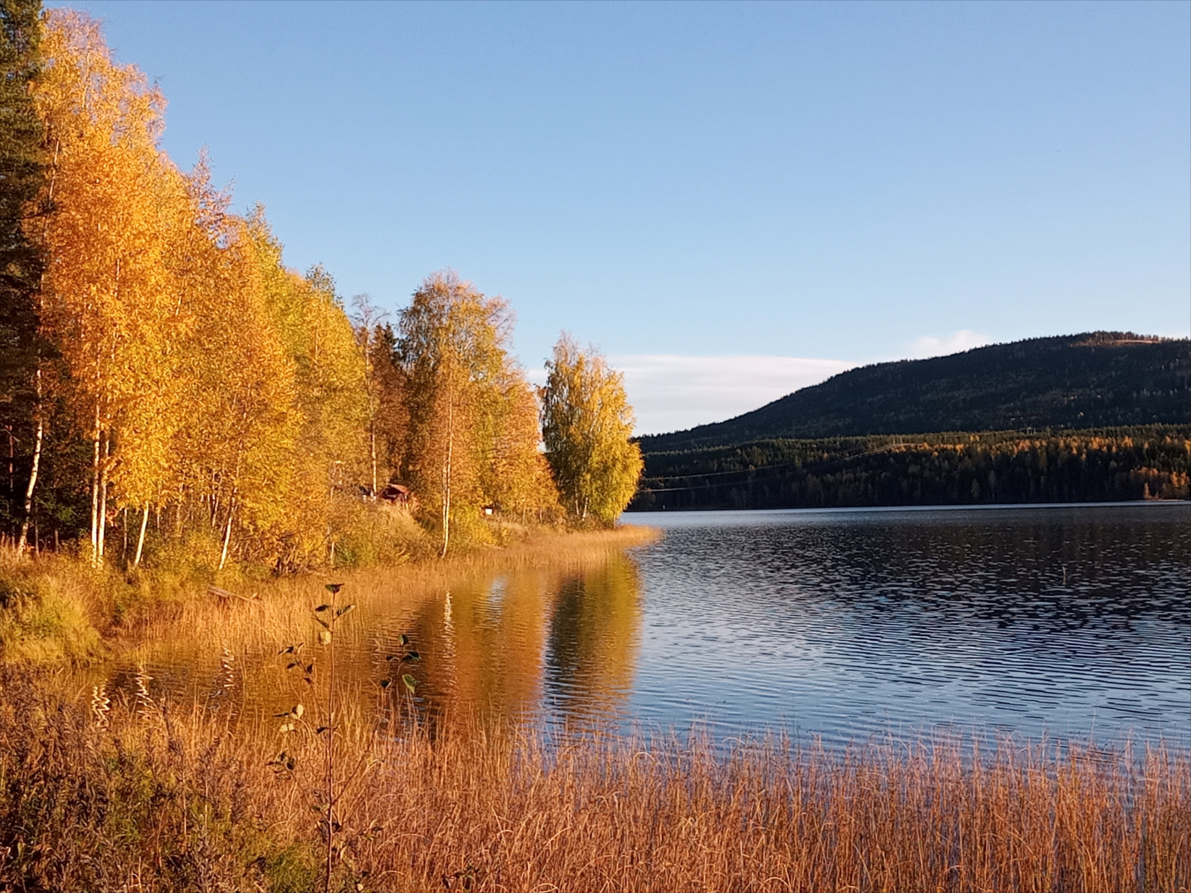 - image: 52