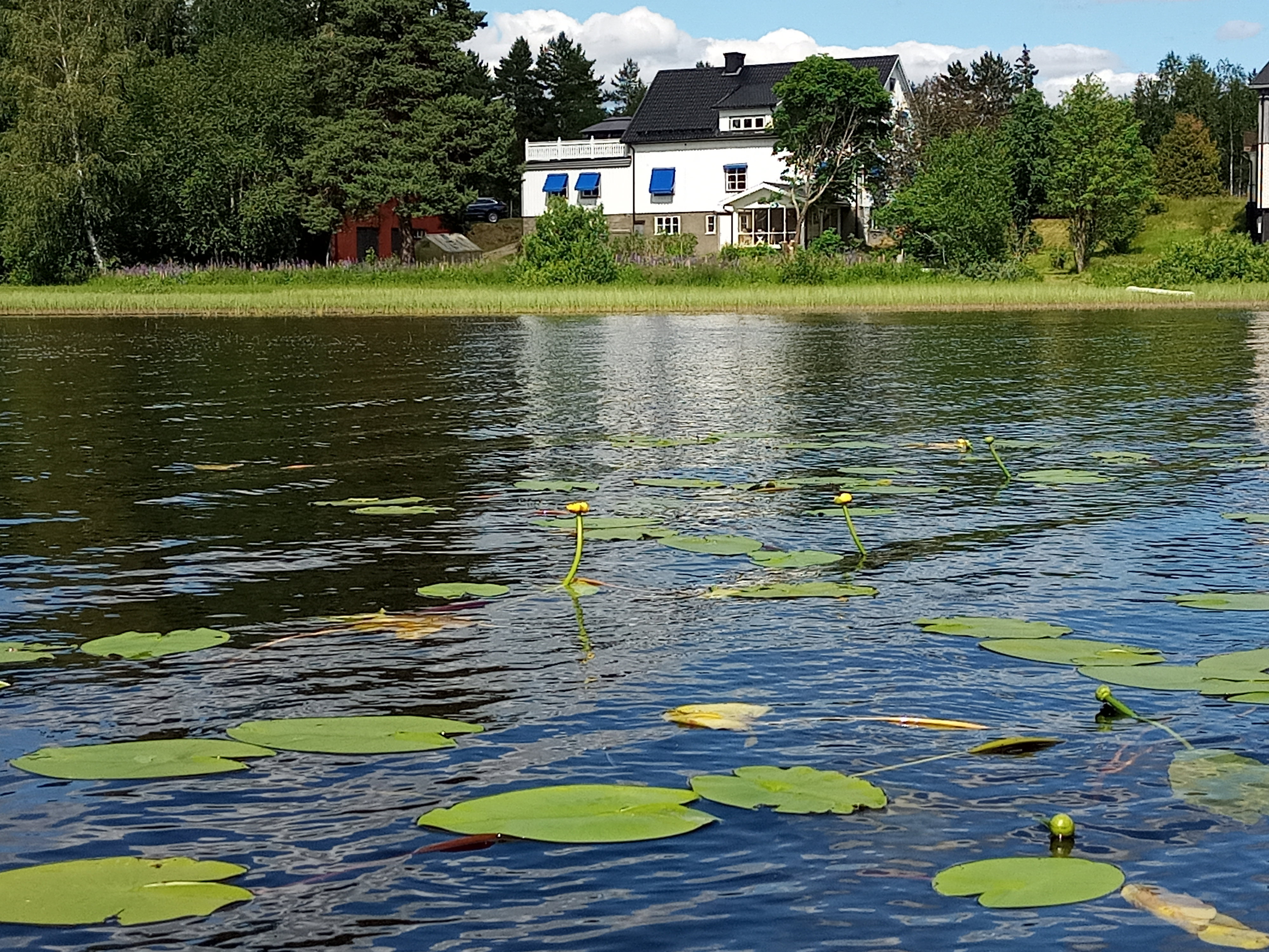 Maison nature à Vitsand