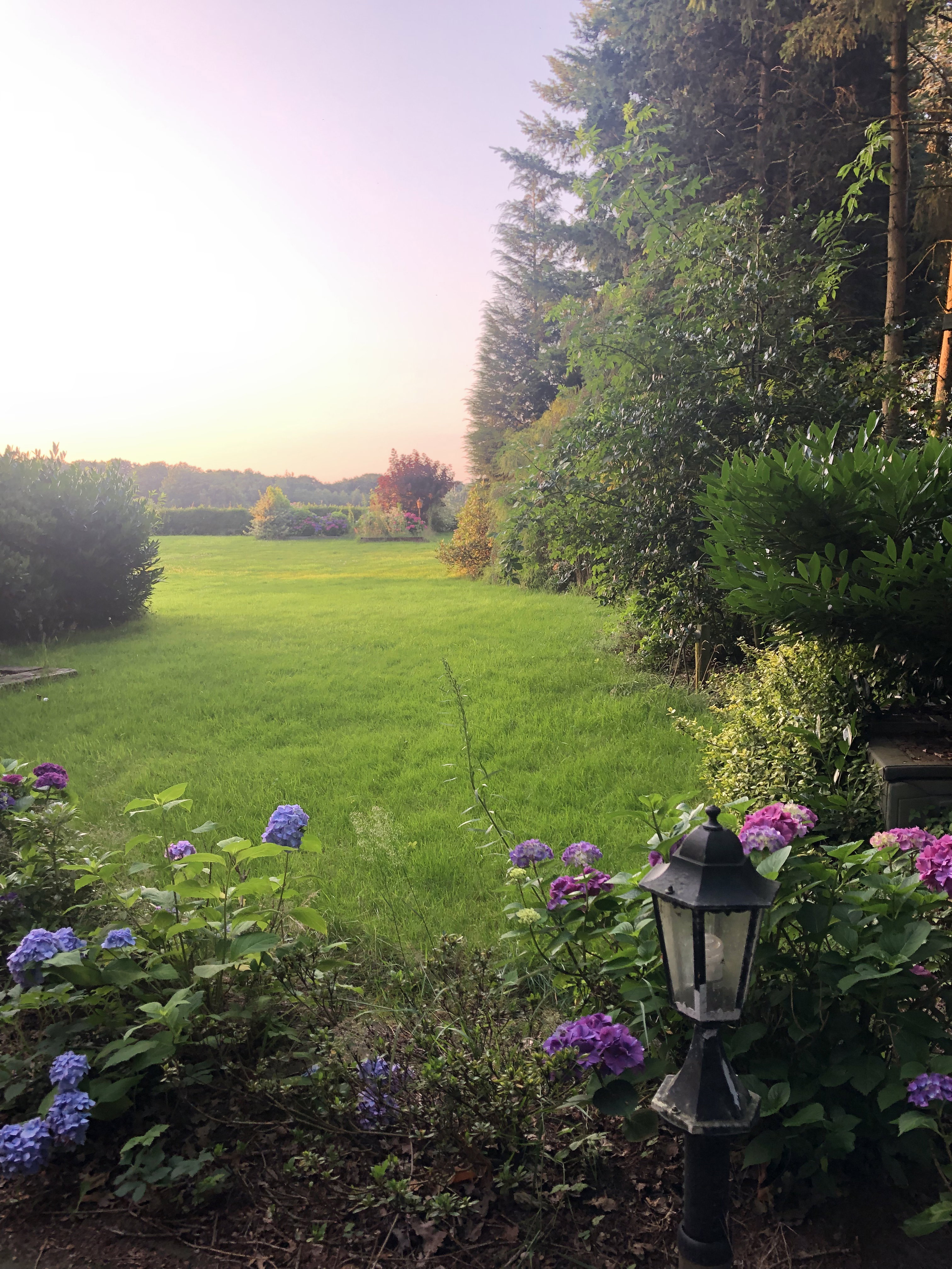 Naturhäuschen in Diepenheim