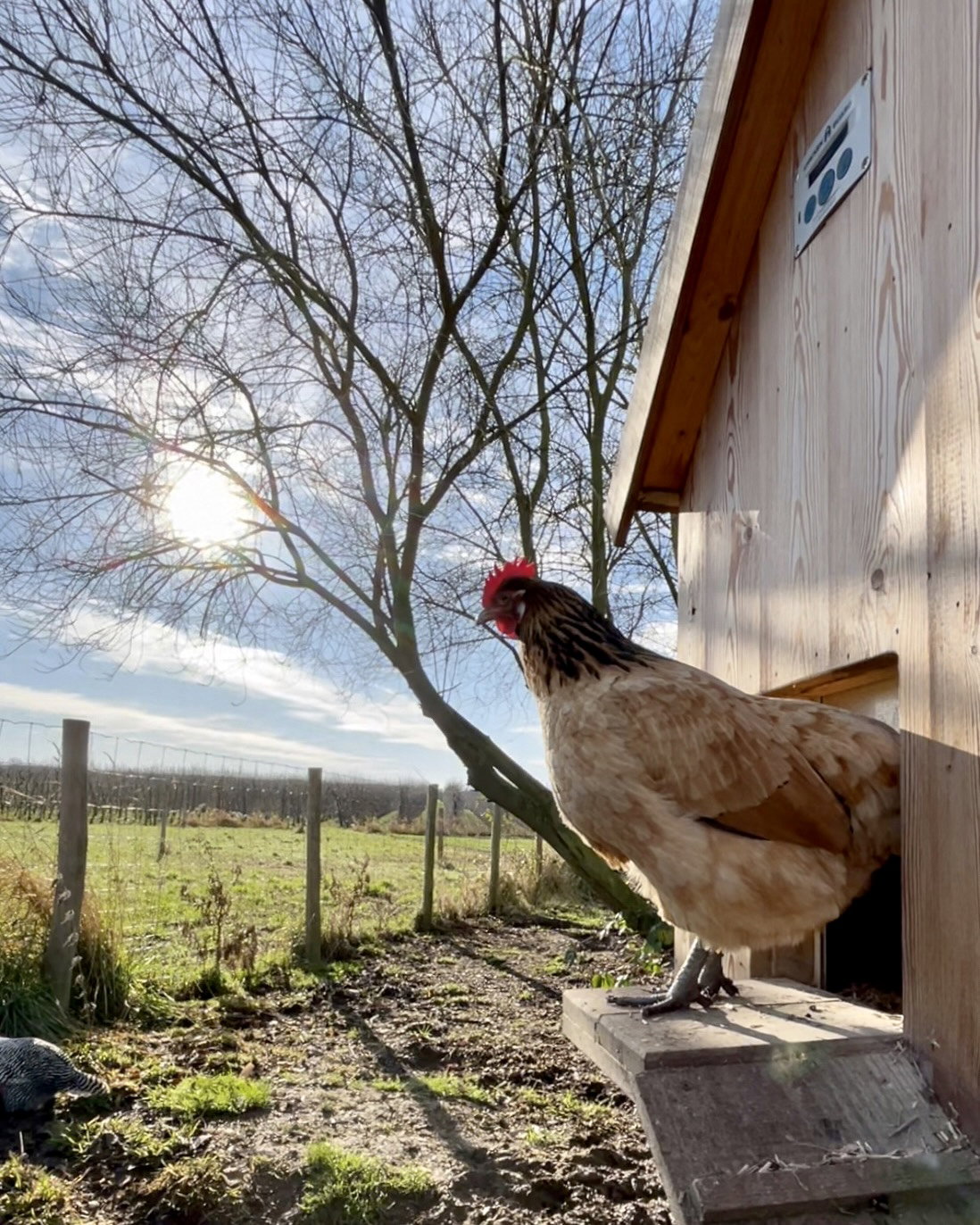 Natuurhuisje in Herk-de-Stad