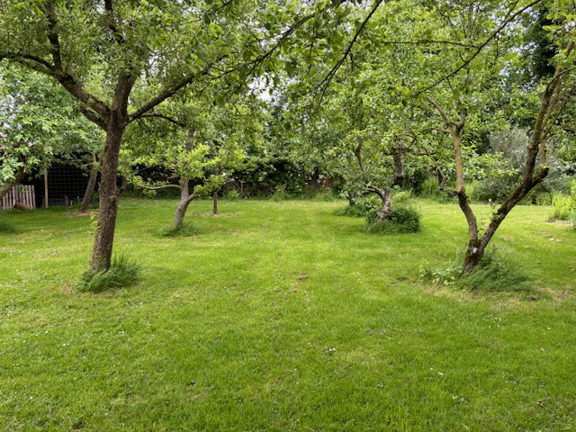 - image: 16