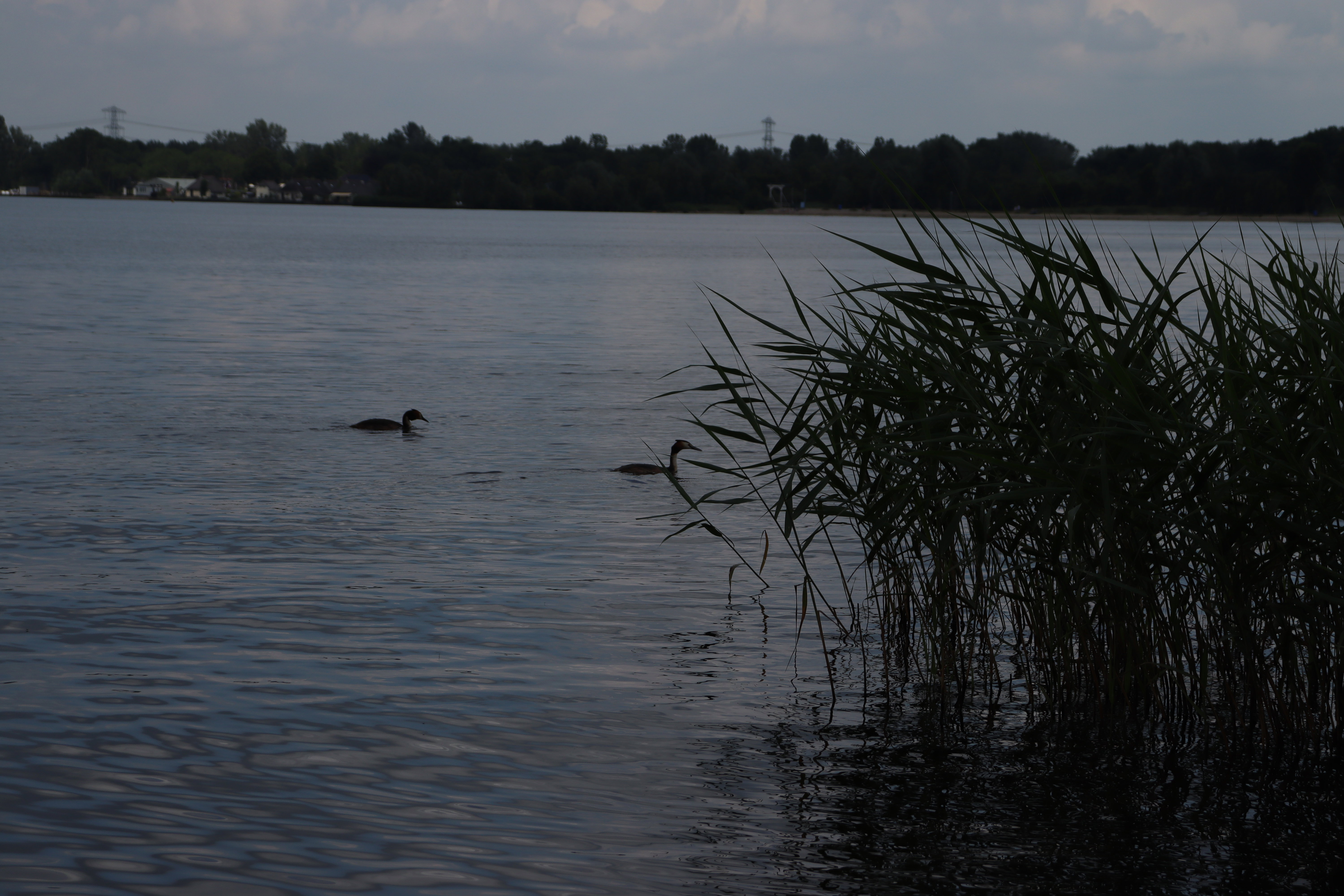 - image: 16