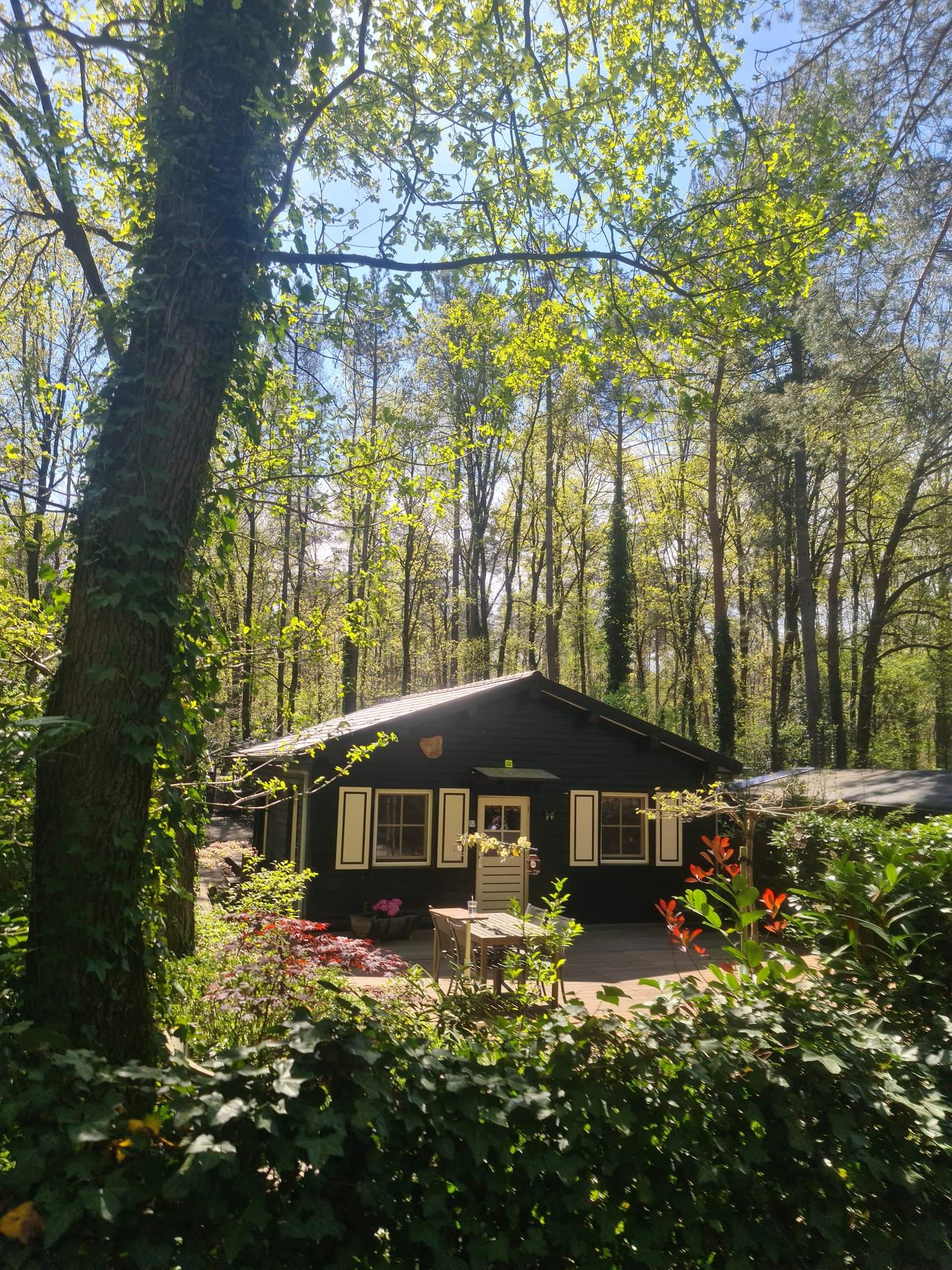 Casa nella natura a Gellik