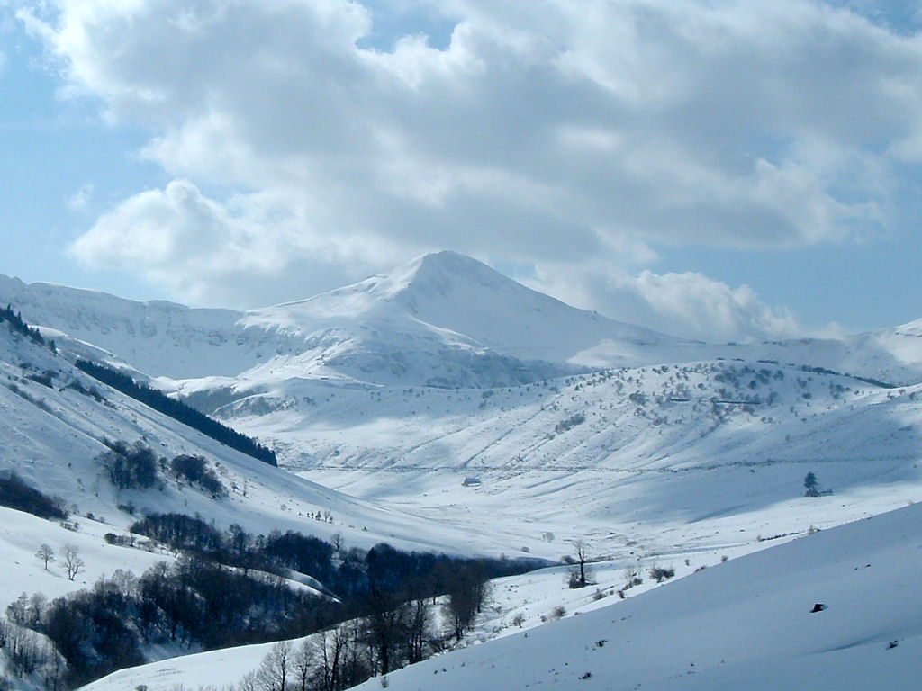 - image: 61