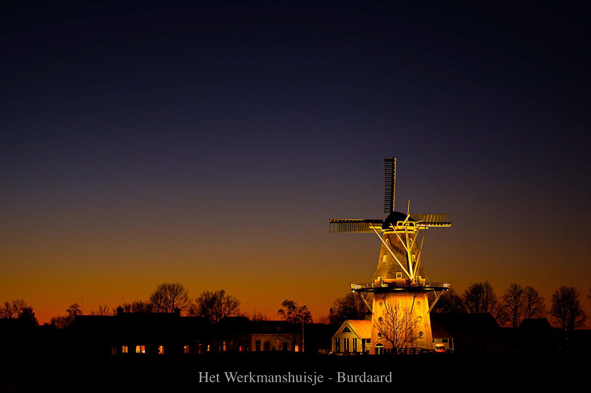 - image: 12