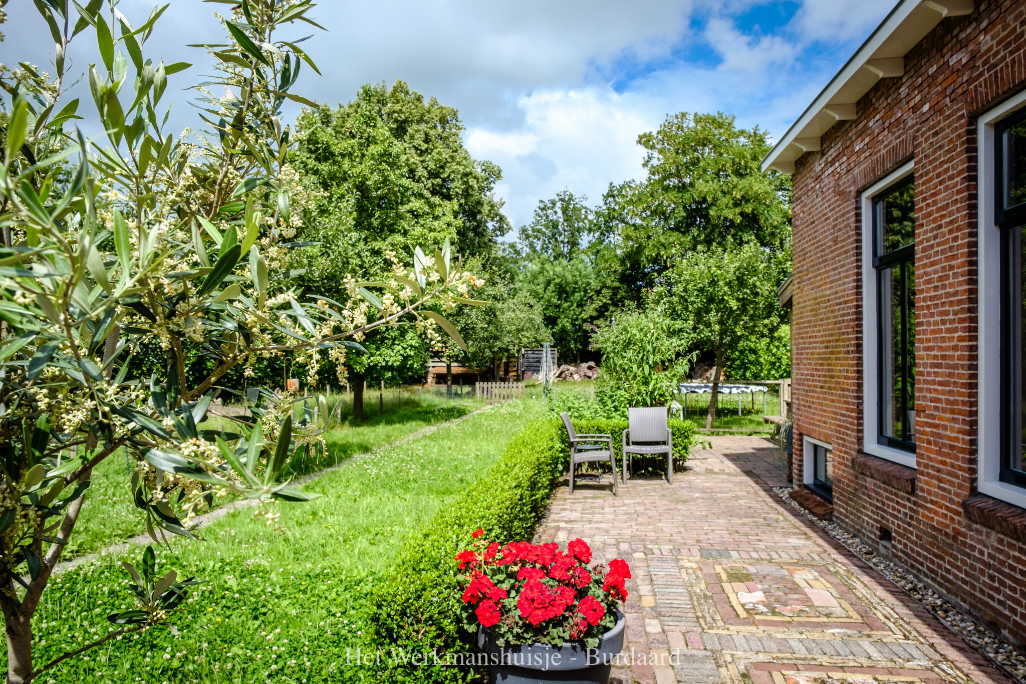 Maison nature à Burdaard