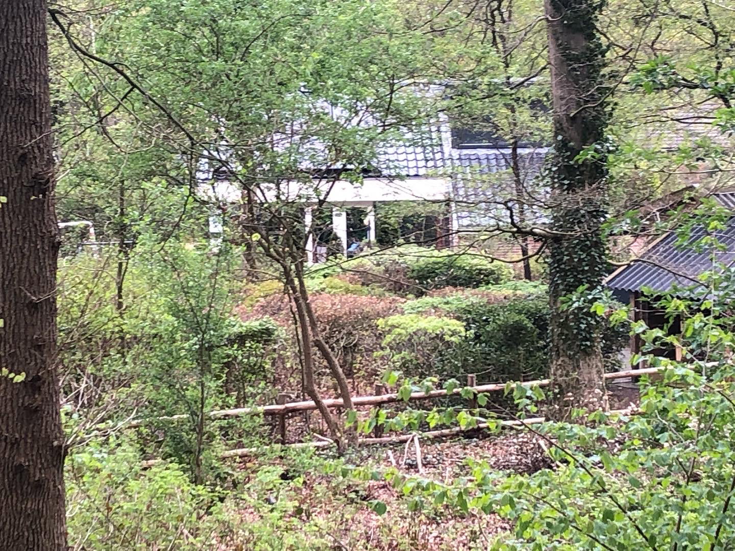 Natuurhuisje in Appelscha