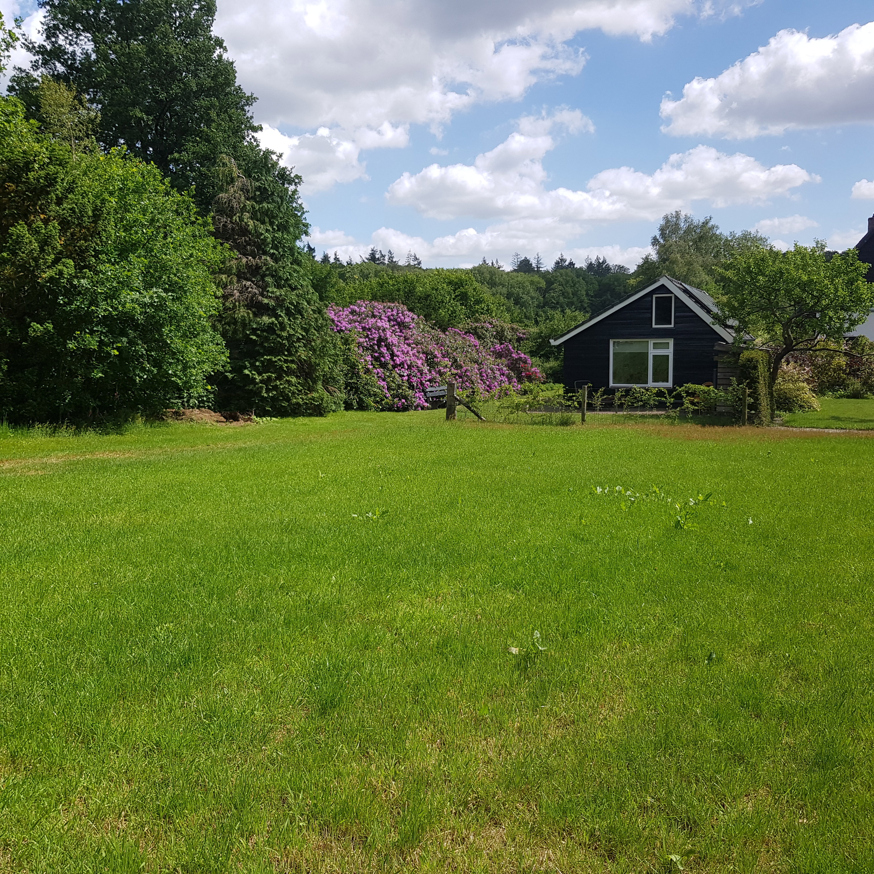 Naturhäuschen in Loenen