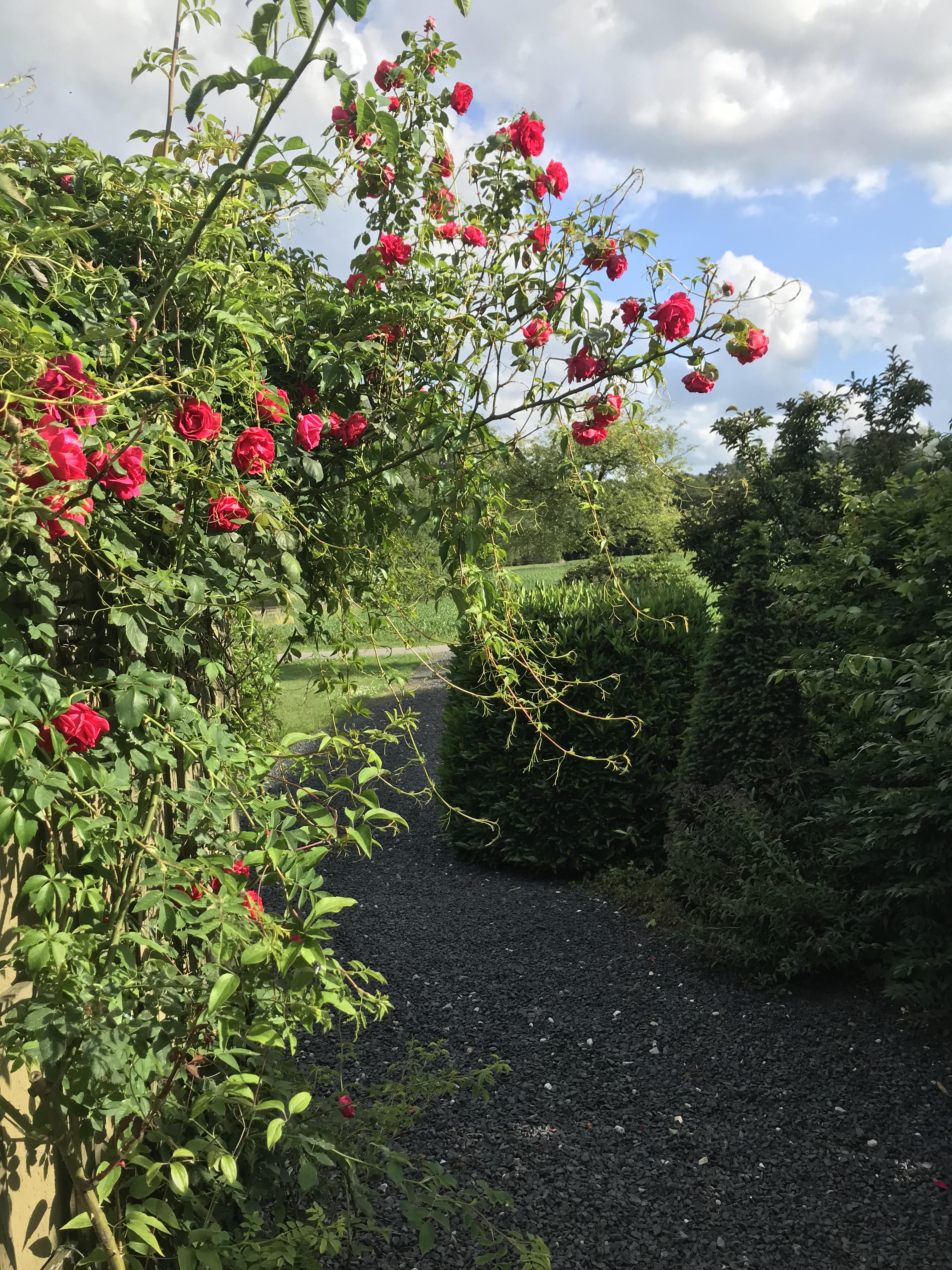 Naturhäuschen in Loenen
