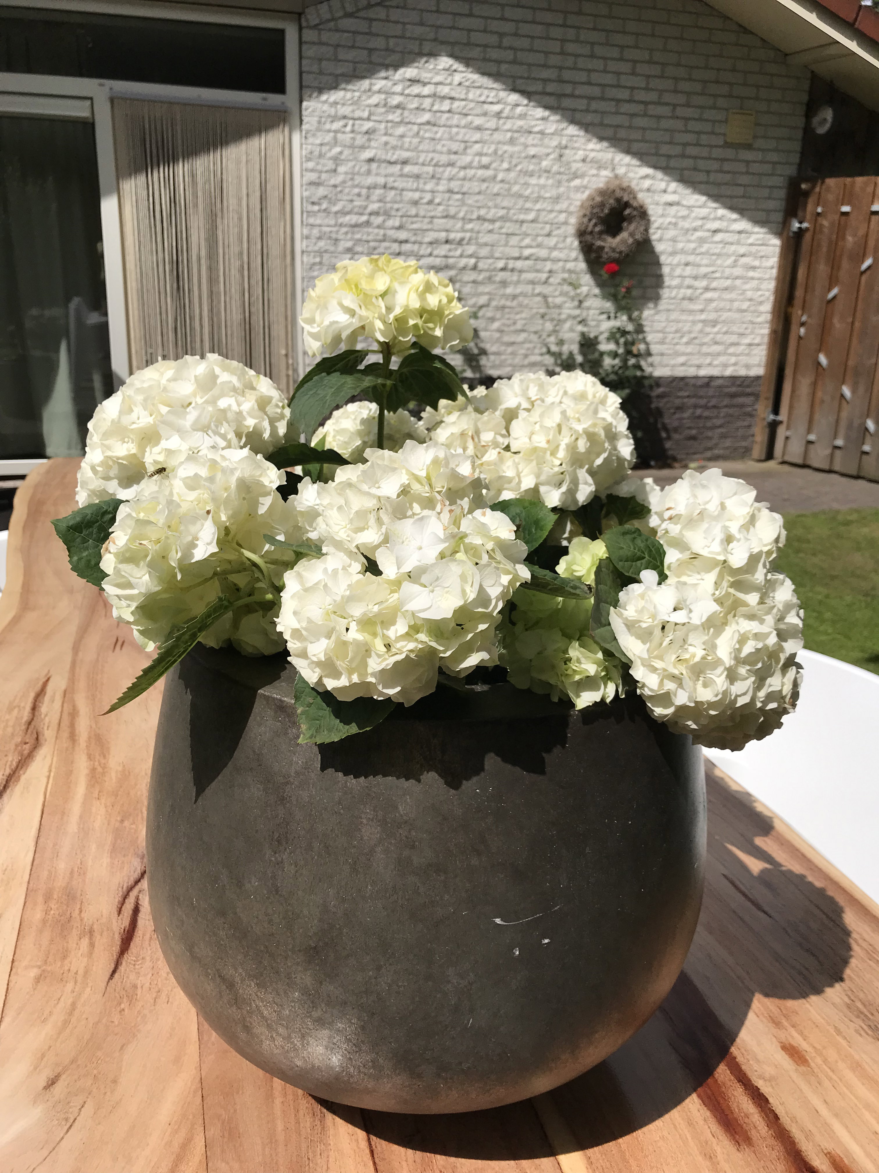 Naturhäuschen in Putten