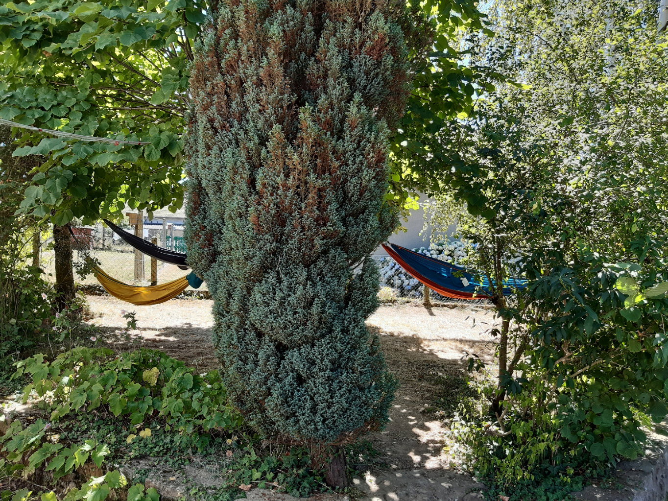 Natuurhuisje in Bujaleuf