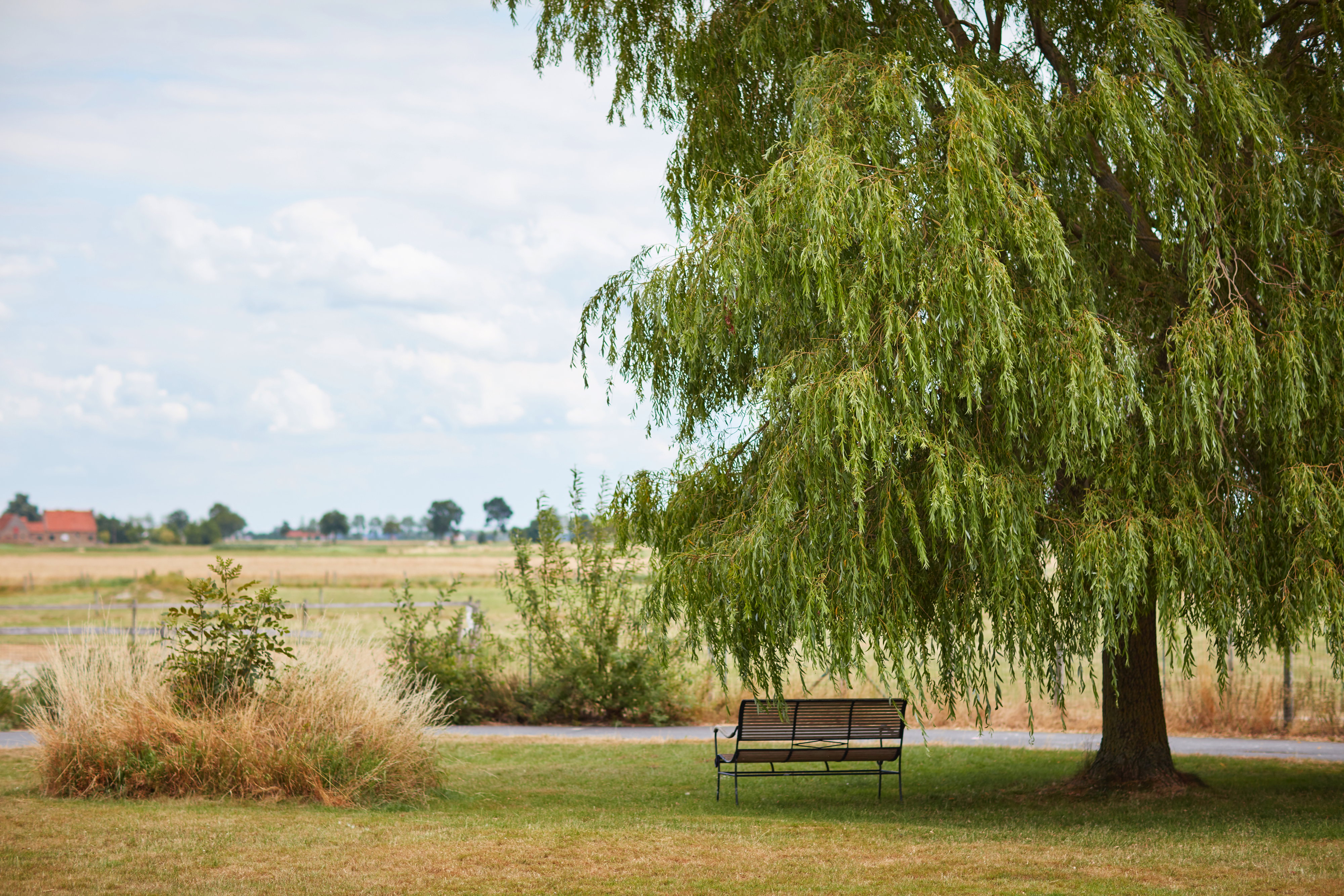 Natuurhuisje in Schore