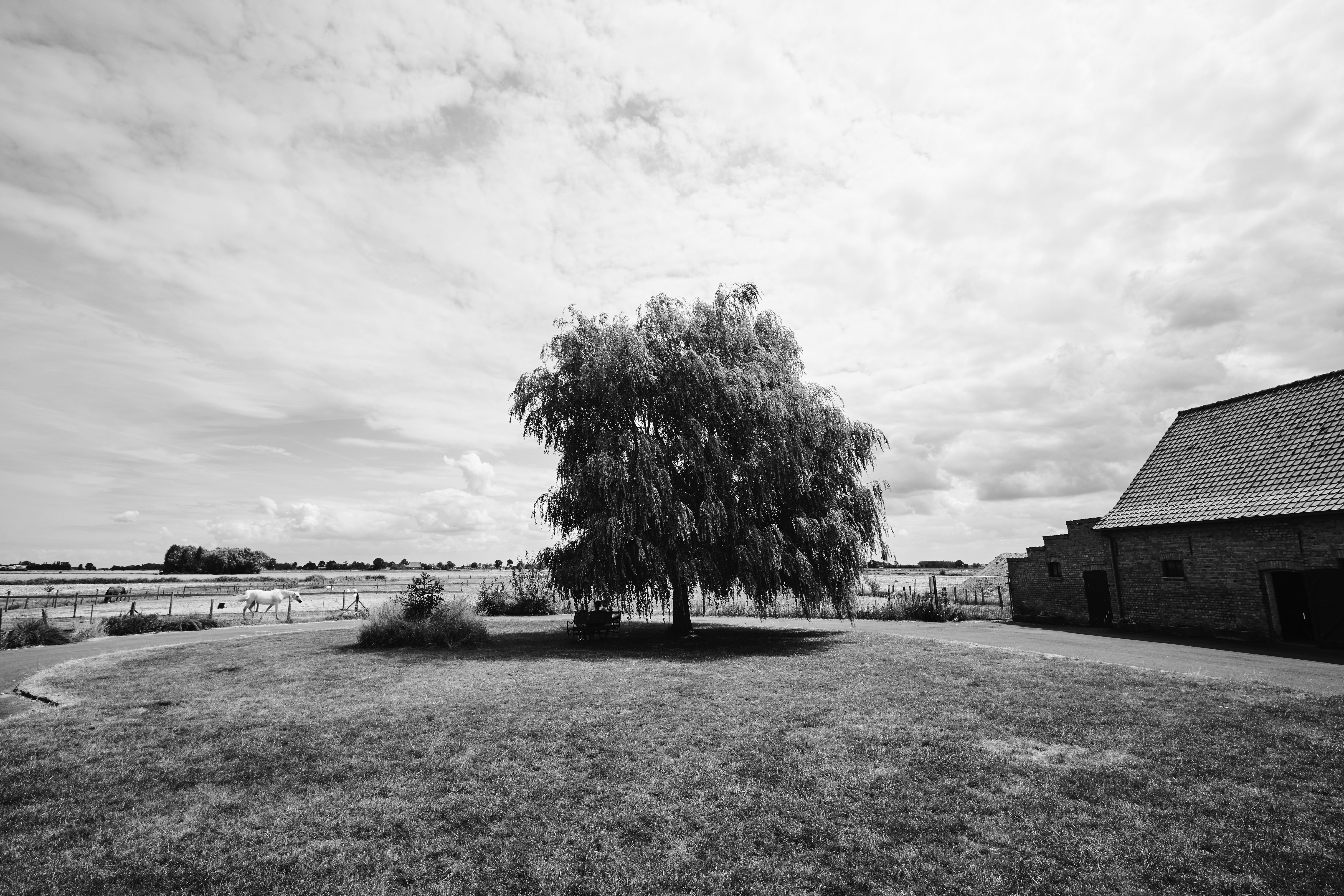 Natuurhuisje in Schore