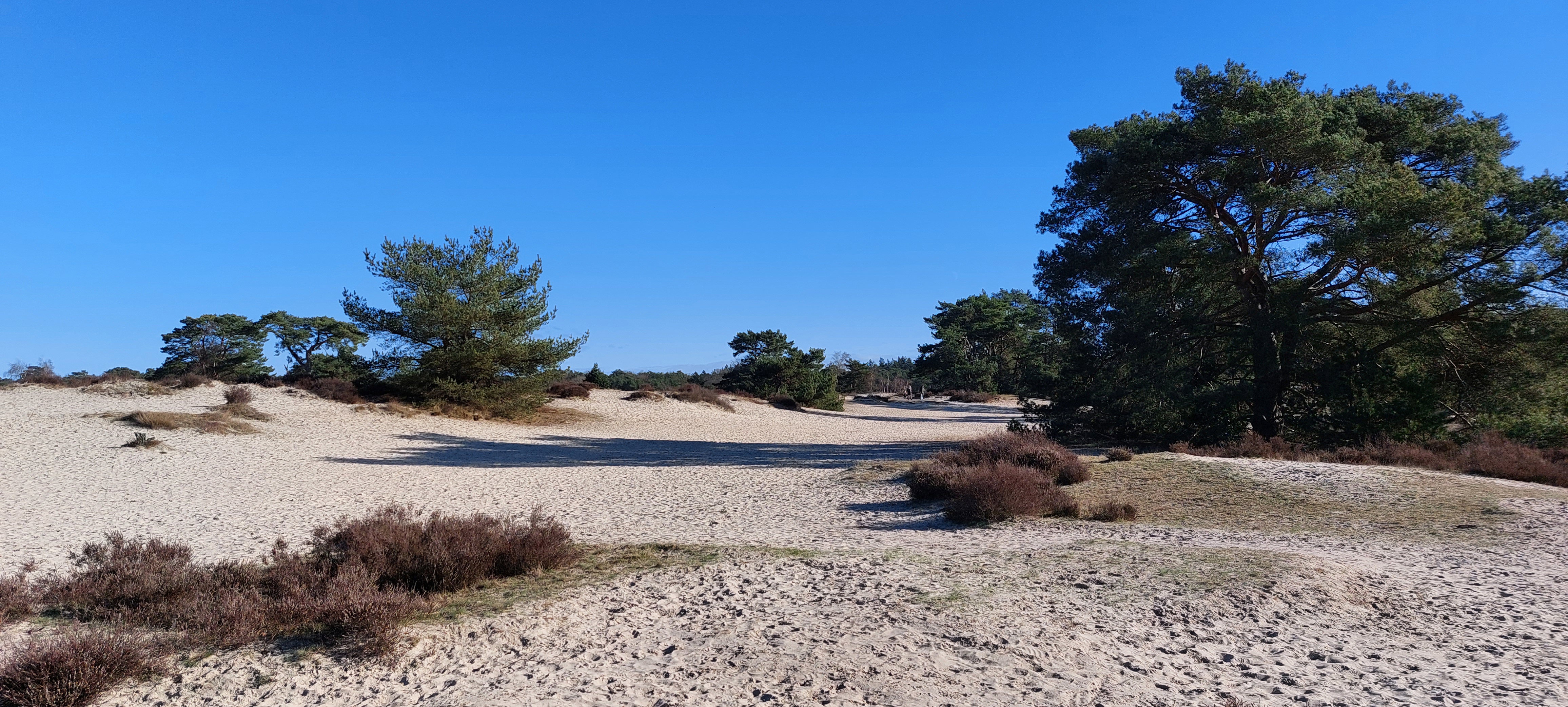 Naturhäuschen in Soest