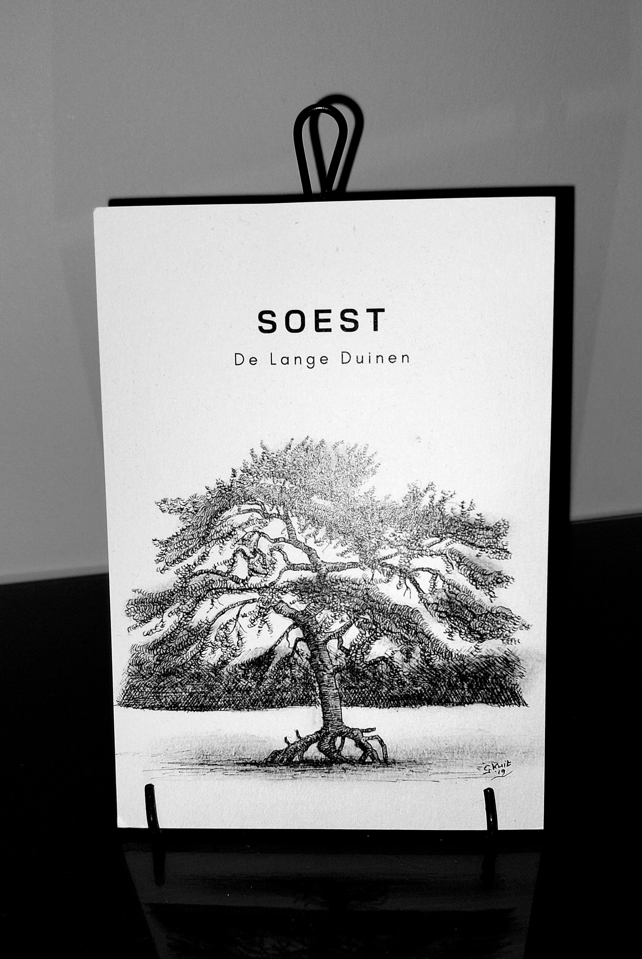 - image: 22